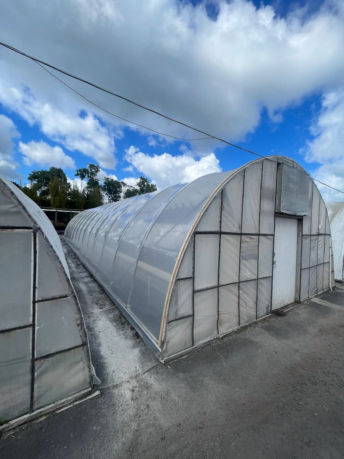 Greenhouses made of transparent material with curved roofs, situated on a paved area under a partly cloudy sky.