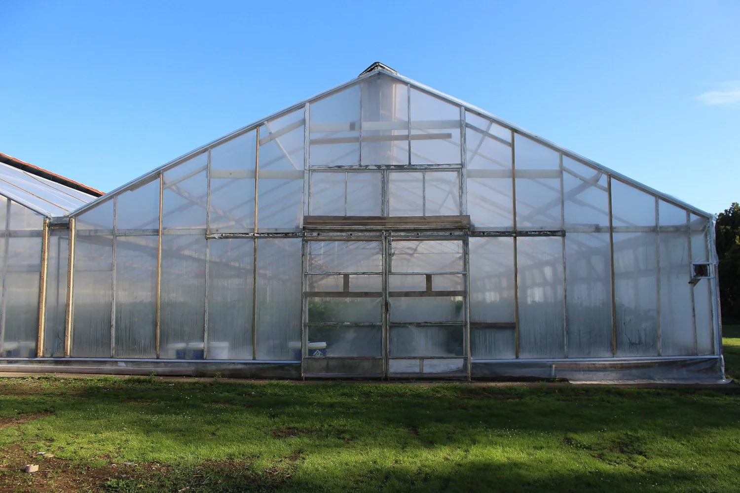A large greenhouse with transparent panels and wooden framing, situated on a grassy area under a clear blue sky.