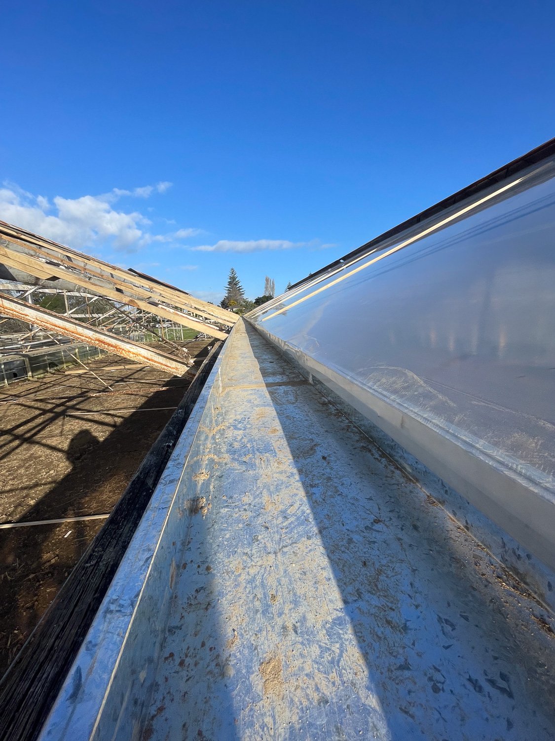 View of greenhouses with metal framework and clear plastic covers under a blue sky with a few white clouds.