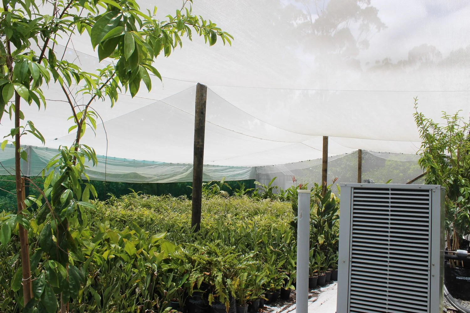 Greenhouse with various plants, trees, and an electrical box outdoors under a white shade cloth supported by wooden poles.