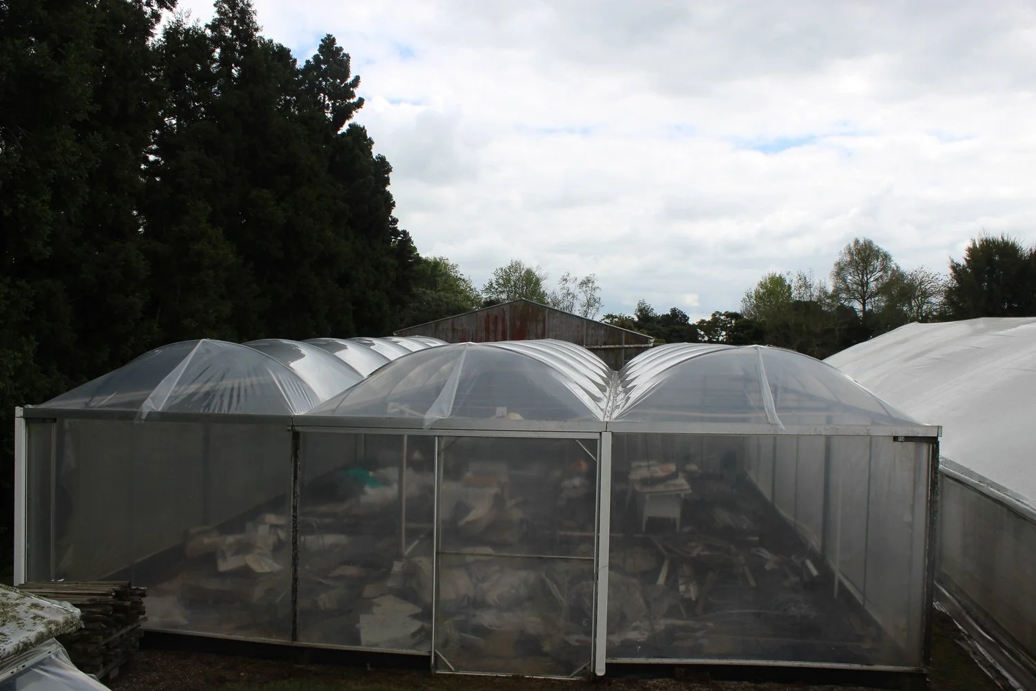 Greenhouse with plastic covering on a farm or garden, with trees and cloudy sky in the background.