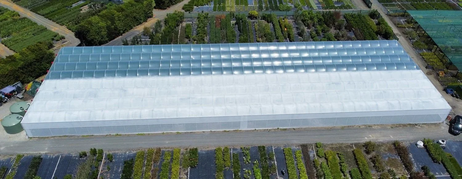 Aerial view of a large greenhouse with a translucent roof, surrounded by agricultural fields and parking areas.