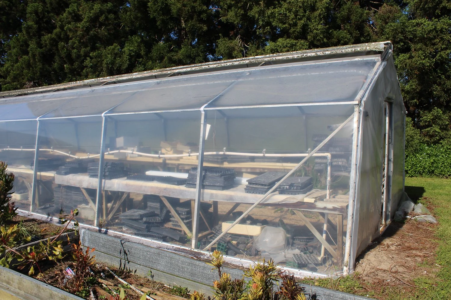 A small greenhouse with transparent plastic walls and roof, containing trays of seedling plugs, situated outdoors on a sunny day with trees and greenery in the background.
