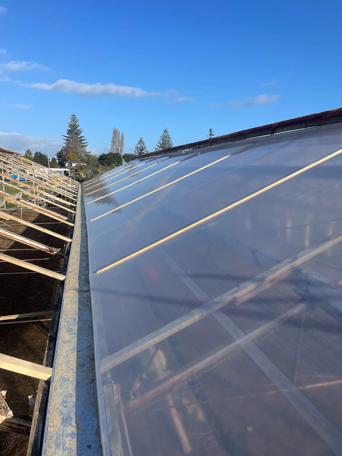 A greenhouse with transparent plastic covering and wooden frames, under a clear blue sky with some clouds.
