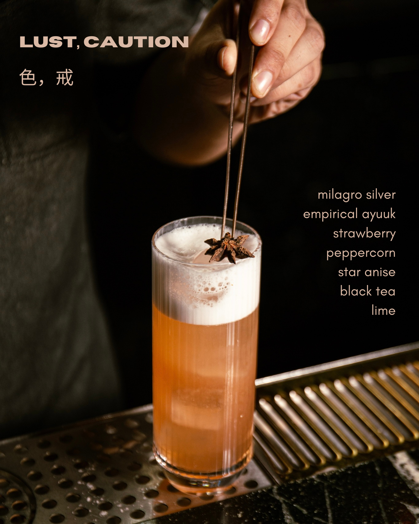 Lust, Caution (1).png