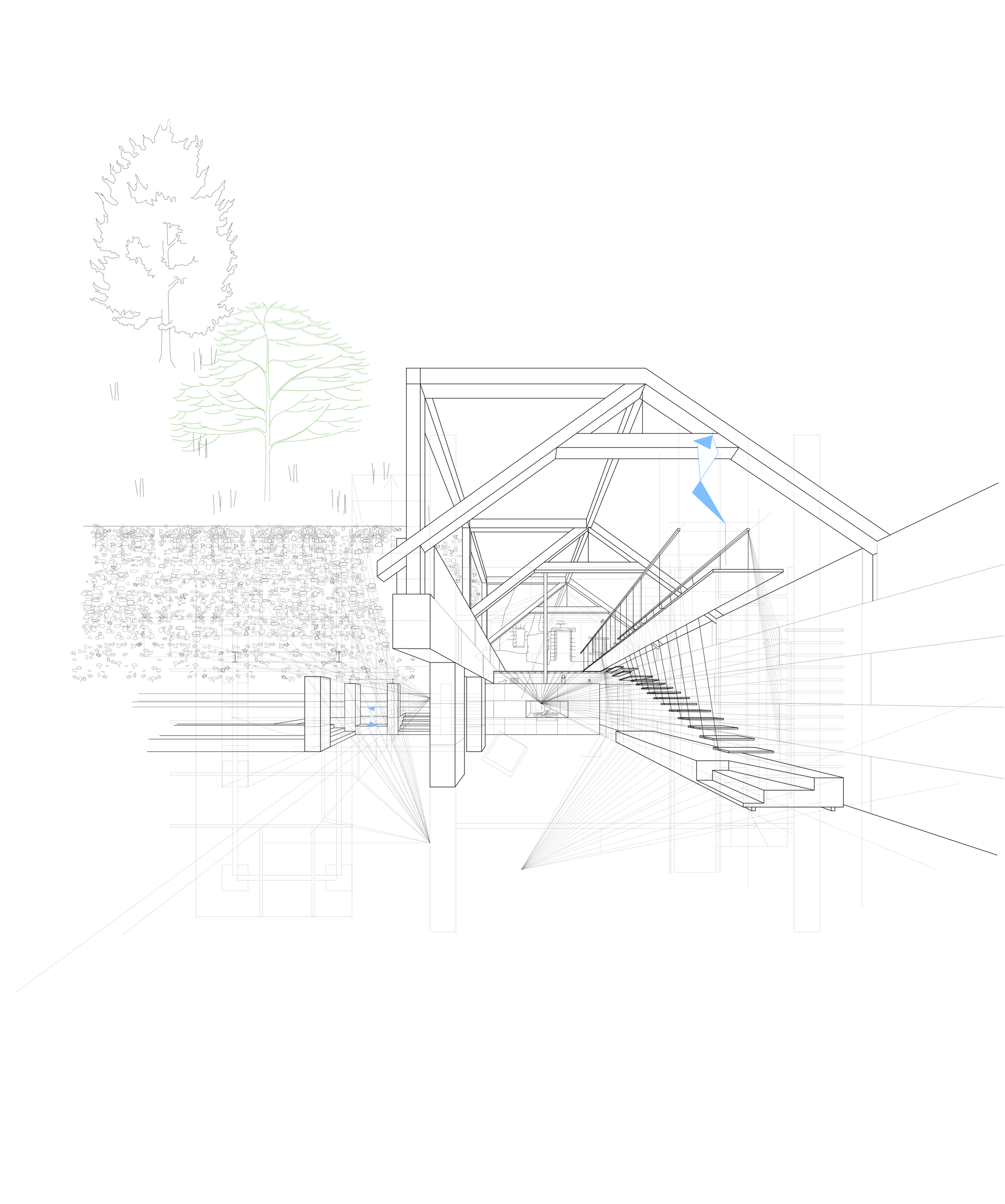 1-50 Perspective traits .png