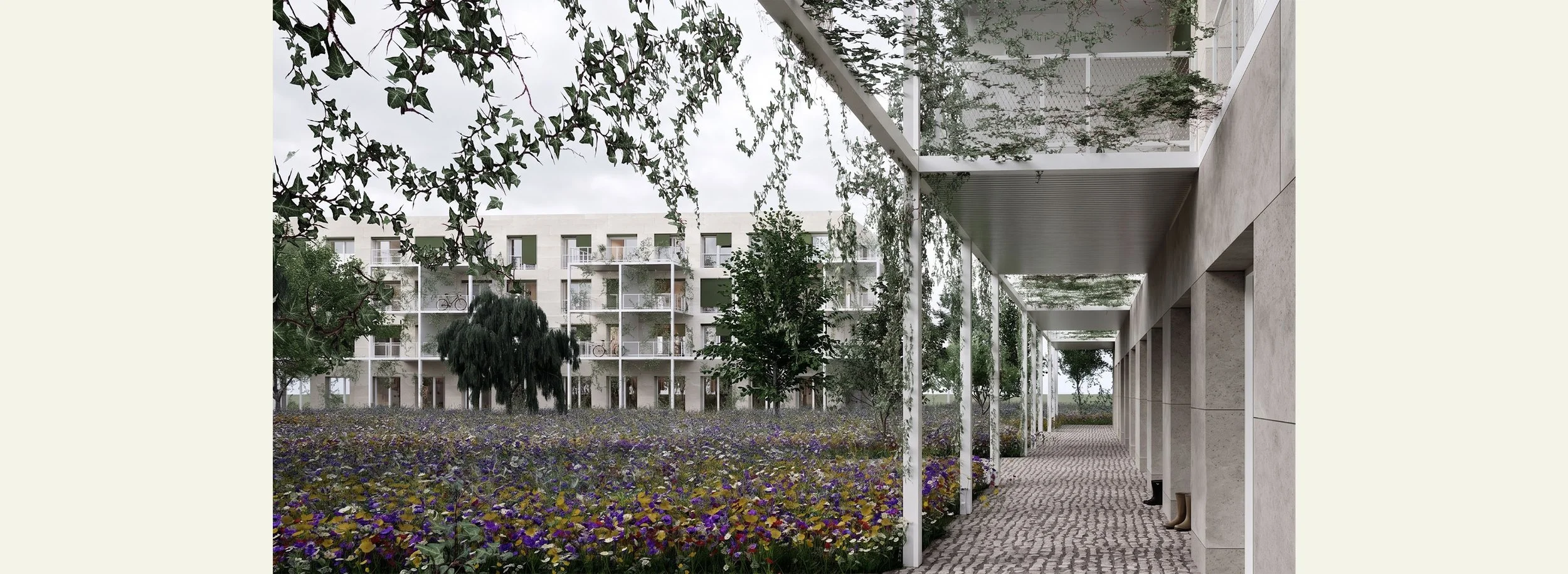 Logements WEB PM_D G.jpg