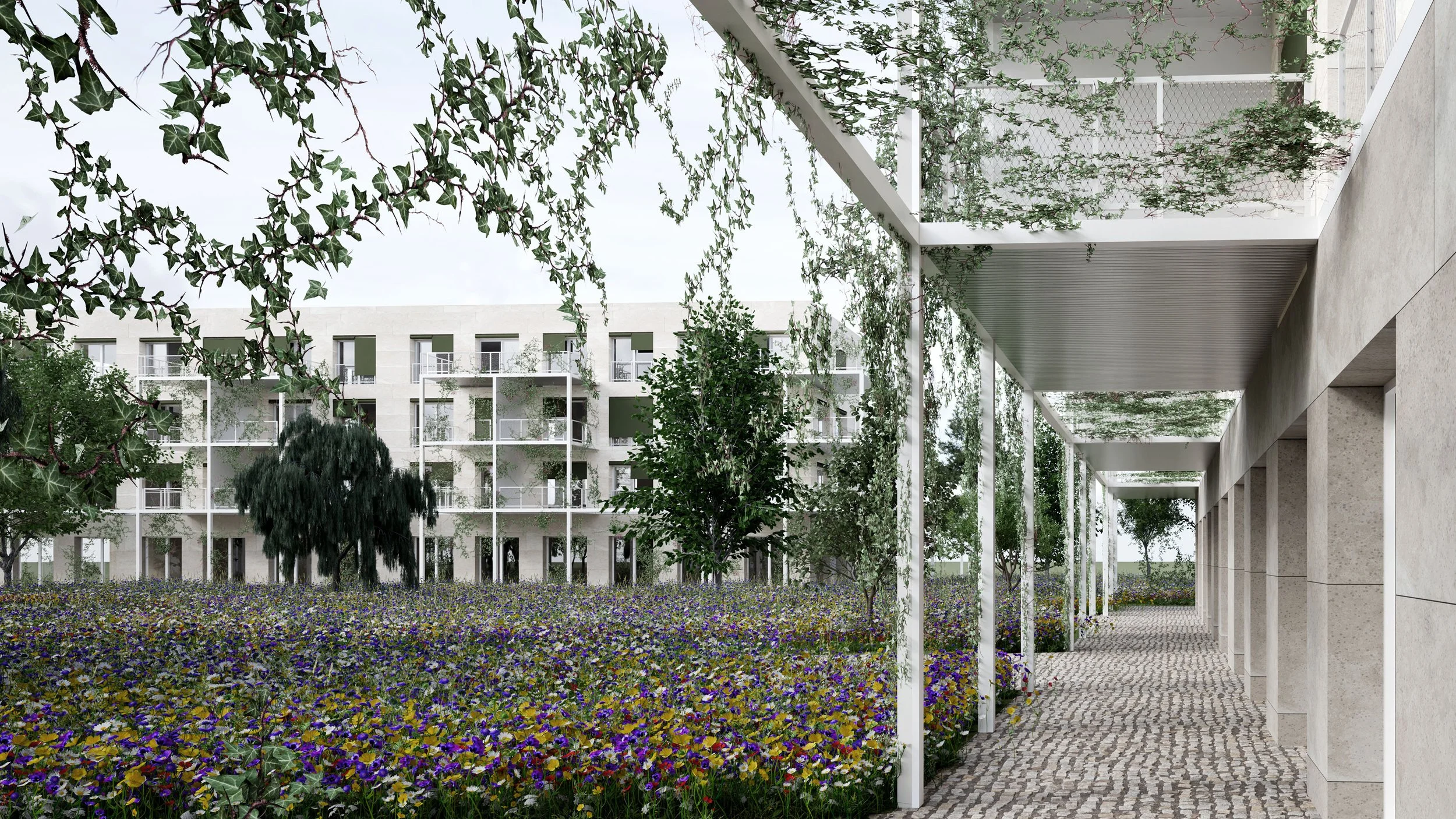 Logements WEB PM_D.jpg