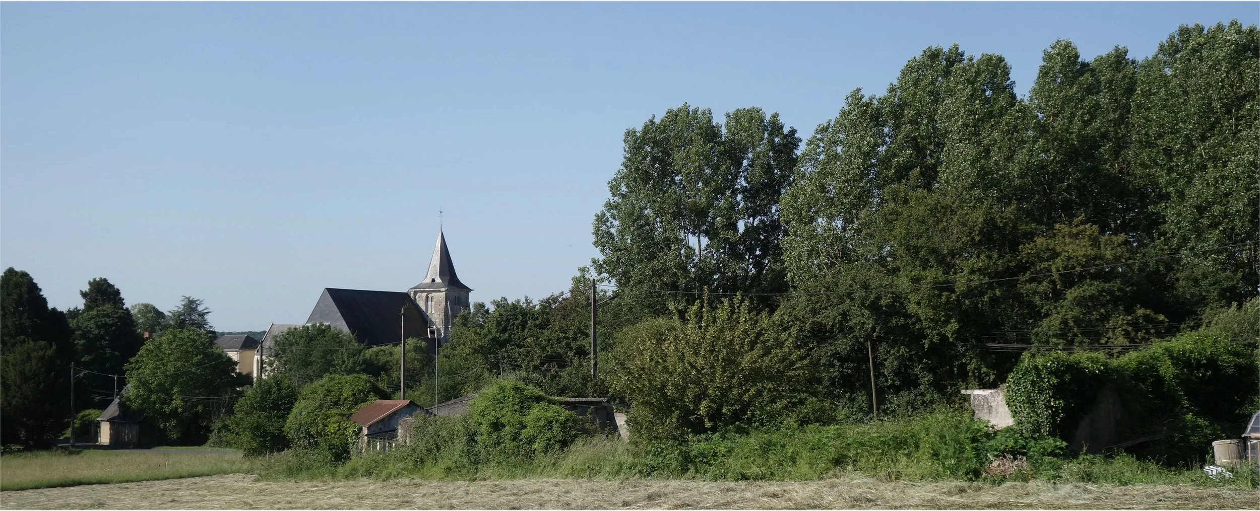 Sonzay photo.jpg