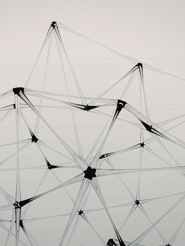 Structuring strategy and vehicle selection
