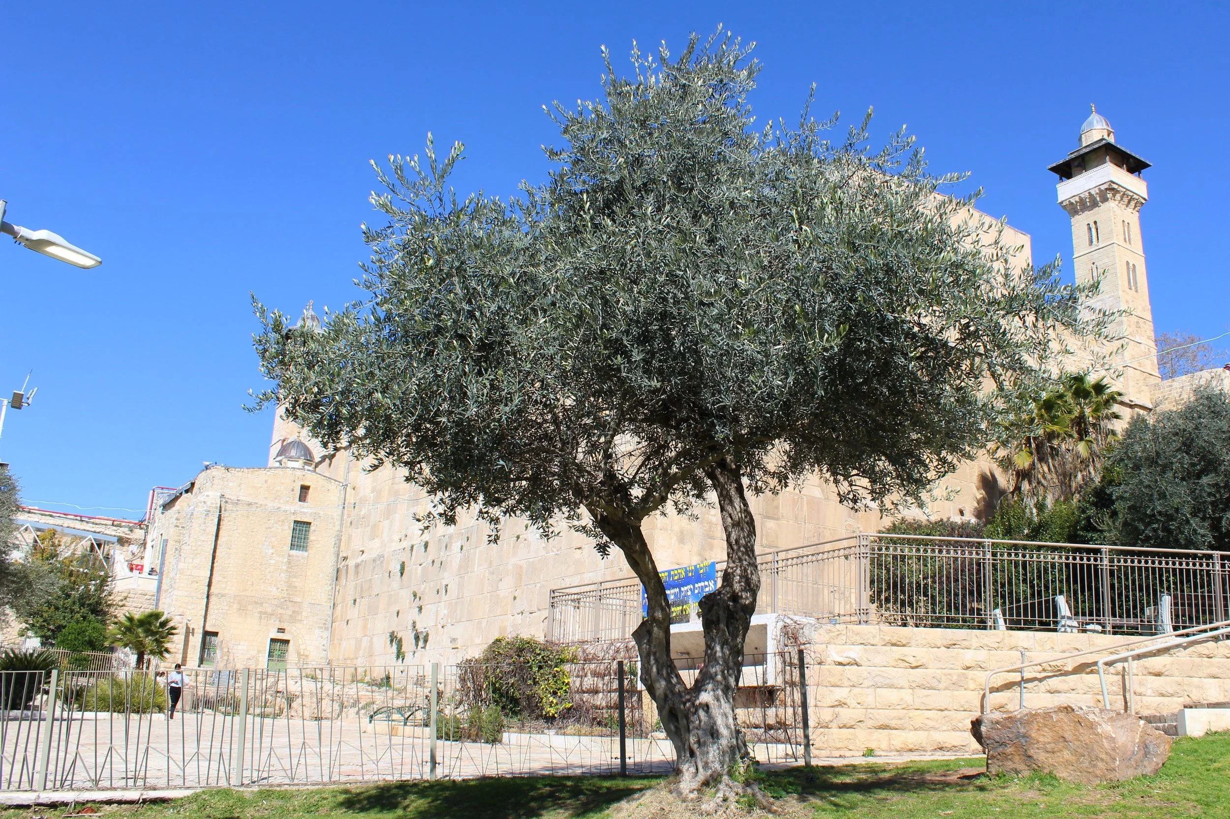 The Cave of the Patriarchs