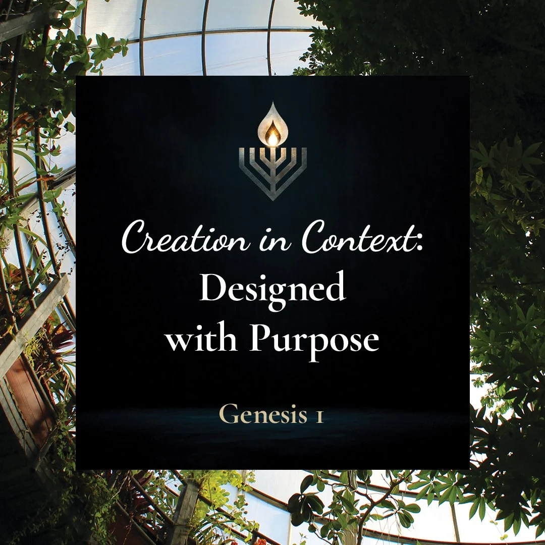 Creation in Context: Designed with Purpose