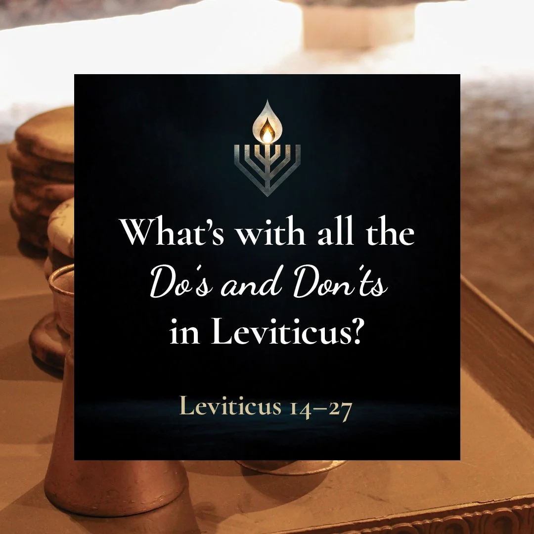 What’s with all the Do’s and Don’ts in Leviticus?