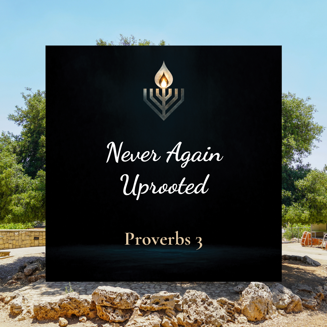 #28 | Never Again Uprooted