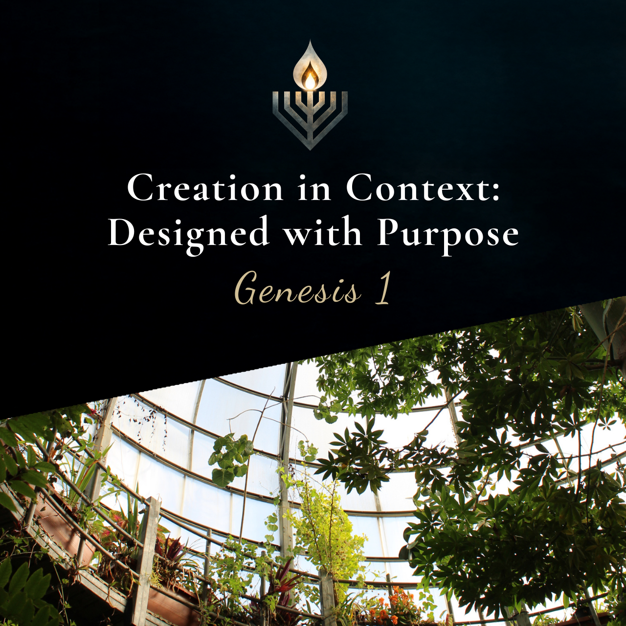 #1 | Creation in Context: Designed with Purpose