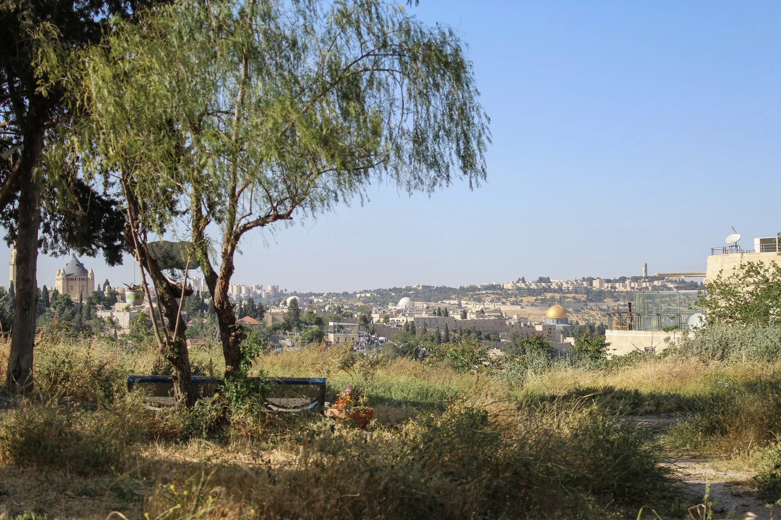 Abu Tor