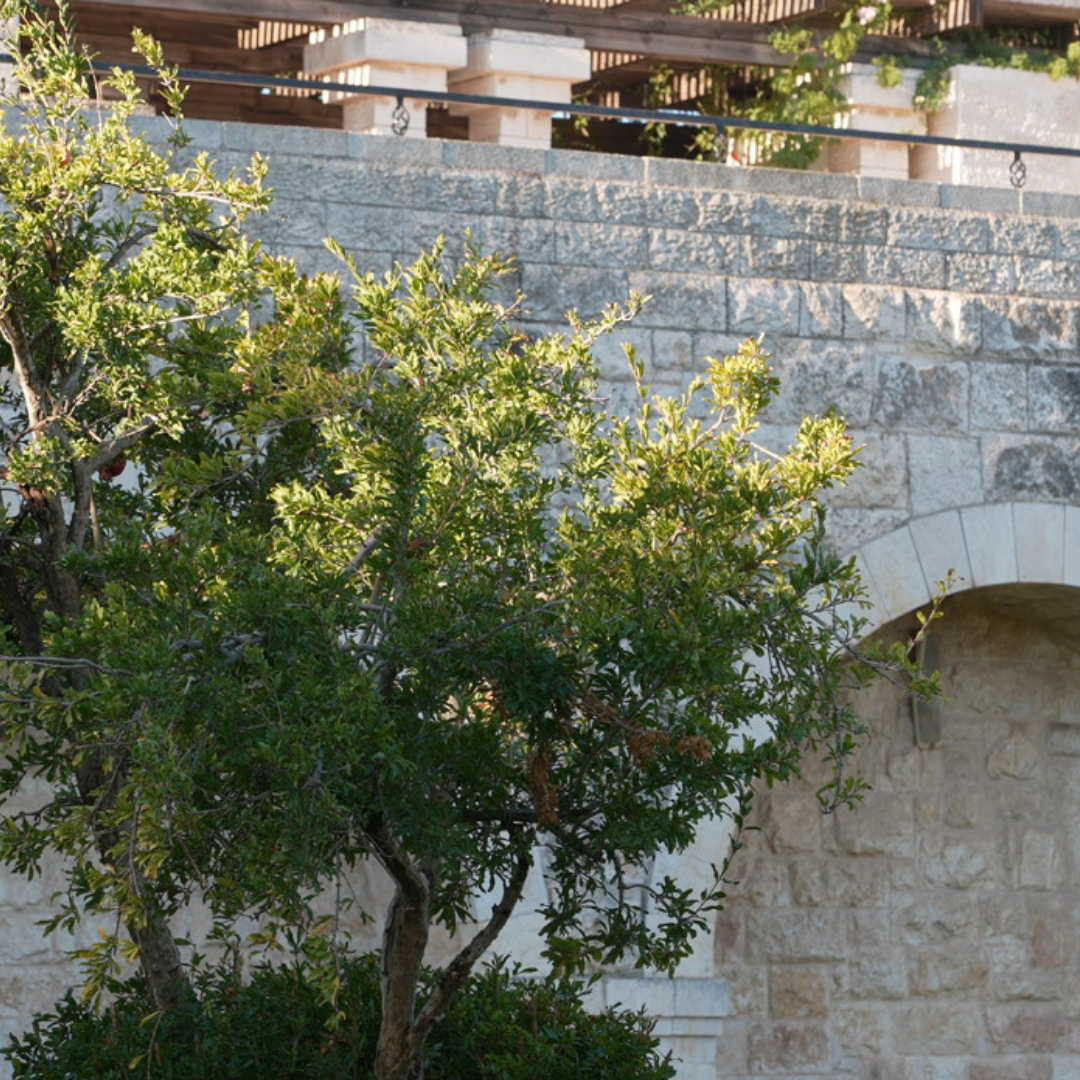 Haas Promenade