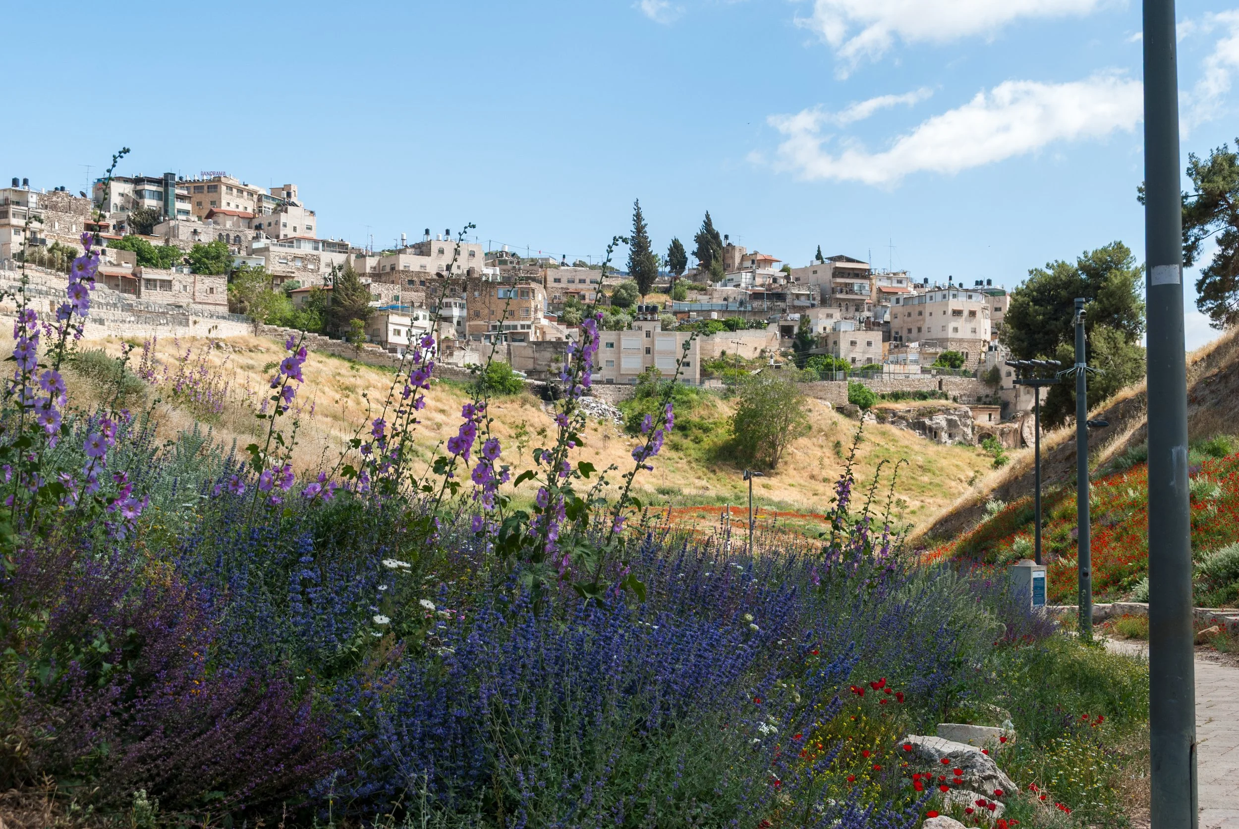 The Kidron Valley