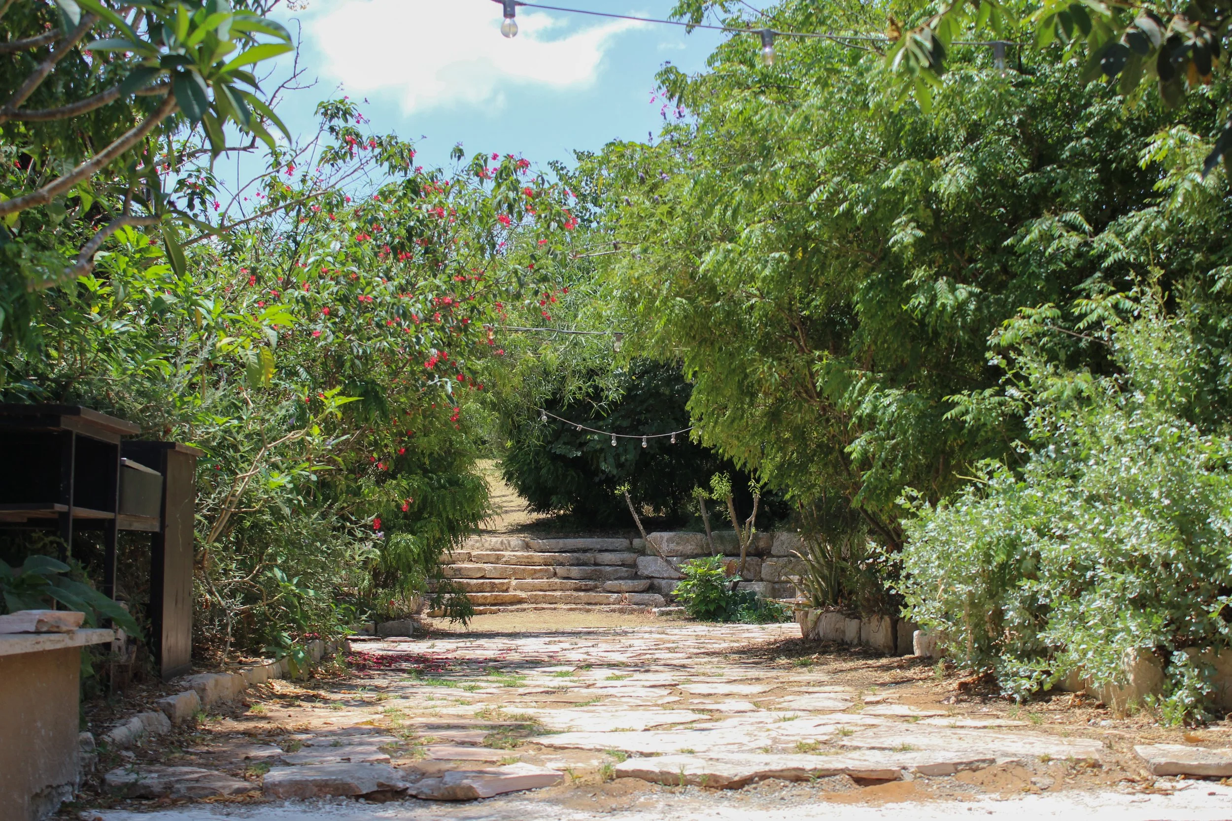 Bnei Zion