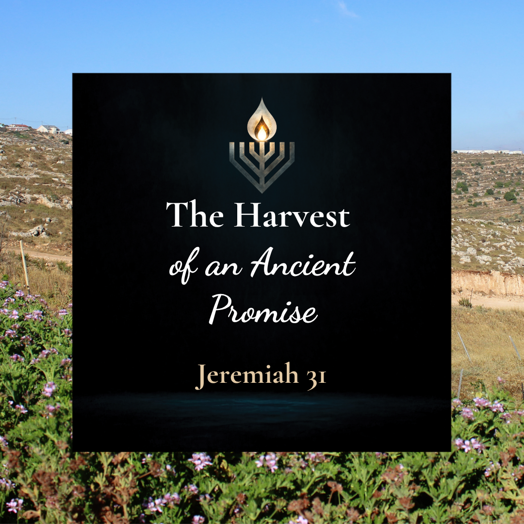 #34 | The Harvest of an Ancient Promise
