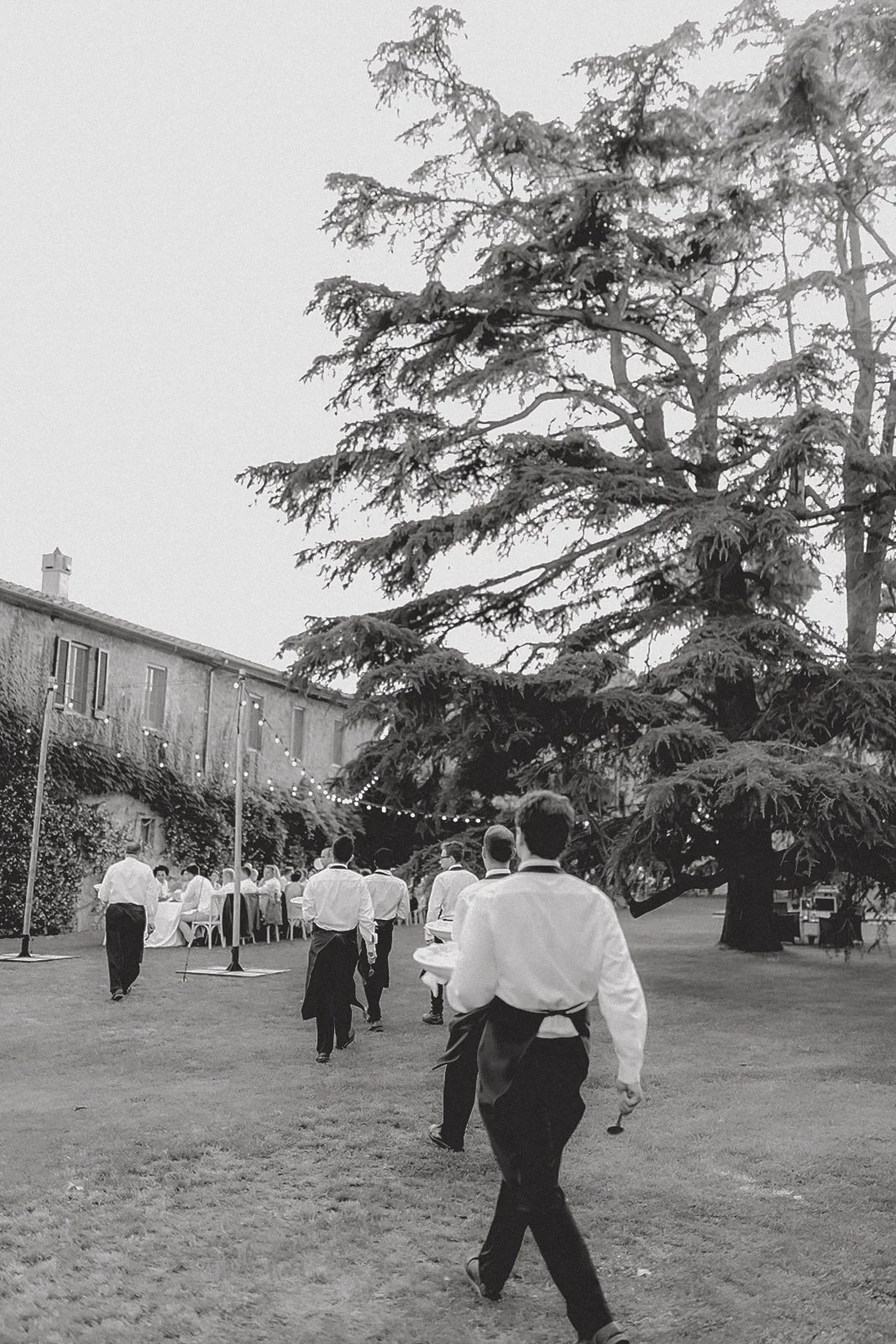 Gruppe von Kellnern oder Servicepersonal bei einer Veranstaltung im Freien, die auf einen festlich gedeckten Tisch zusteuern, unter einem großen Baum, im Hintergrund eine Terrasse mit Gästen, schwarz-weiße Aufnahme.