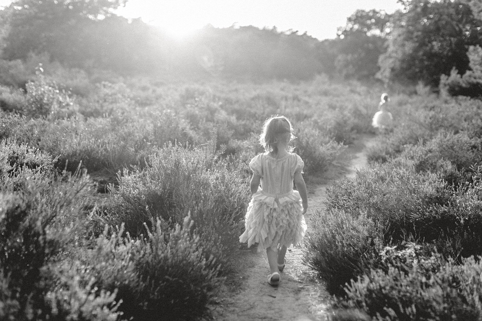 Ein Mädchen in einem wunderschönen Kleid läuft auf einem Pfad durch eine blühende Lavendelfeld bei Sonnenuntergang.