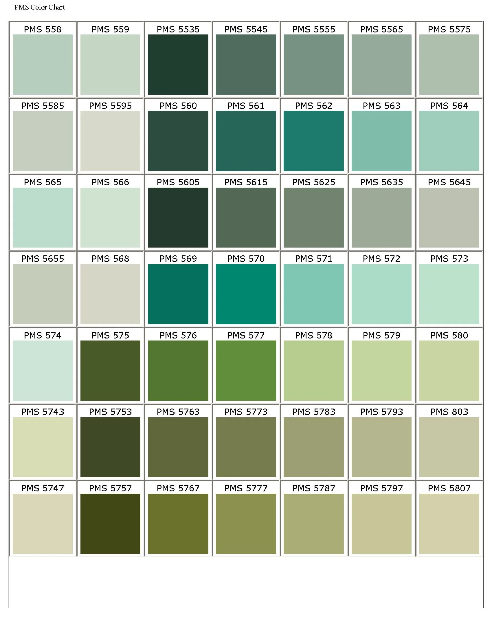 Color chart with various shades of green, labeled with PMS numbers from 558 to 5807.