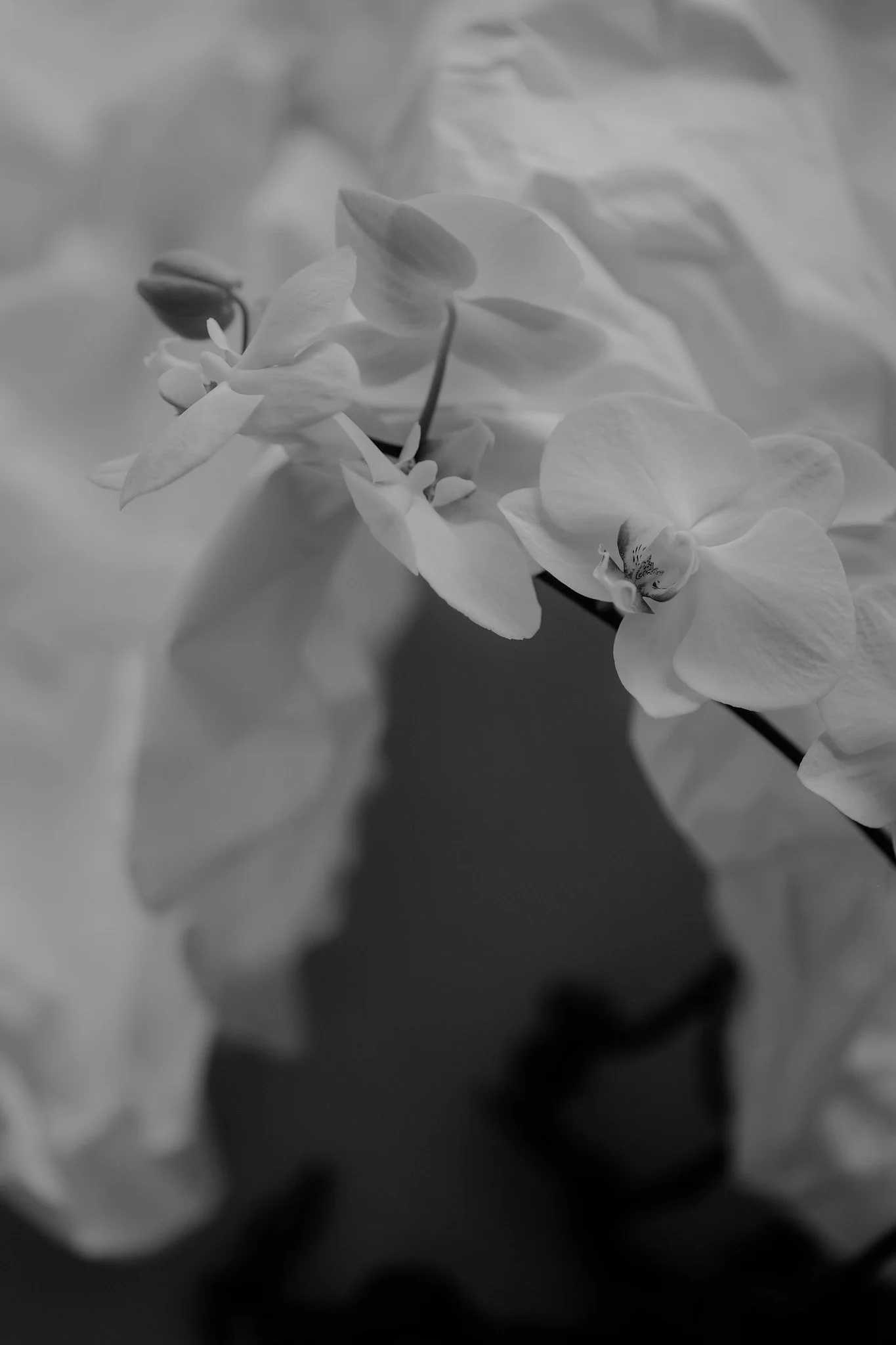 WD_Architectural Wedding_7.jpg