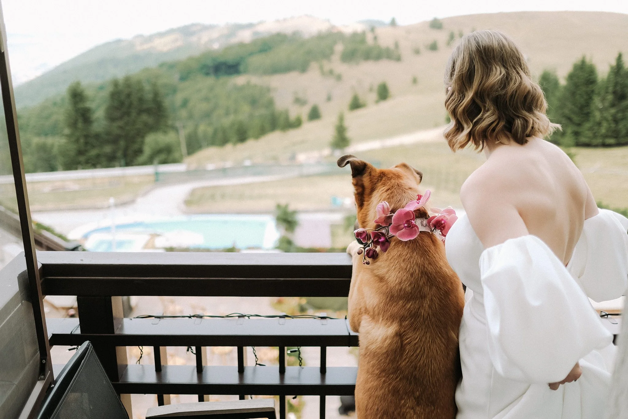 WD_Forest Wedding_54.jpg