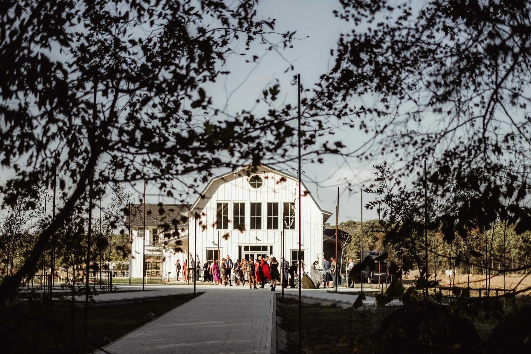 WD_DANA & FLORIN_36.jpg