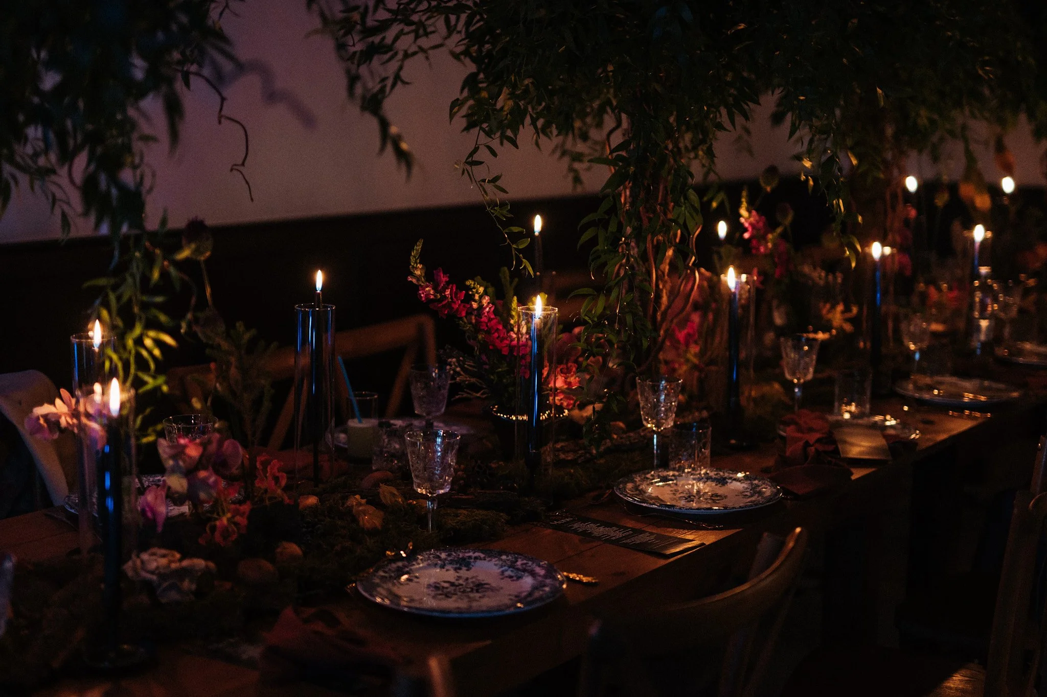 WD_Forest Wedding_46.jpg