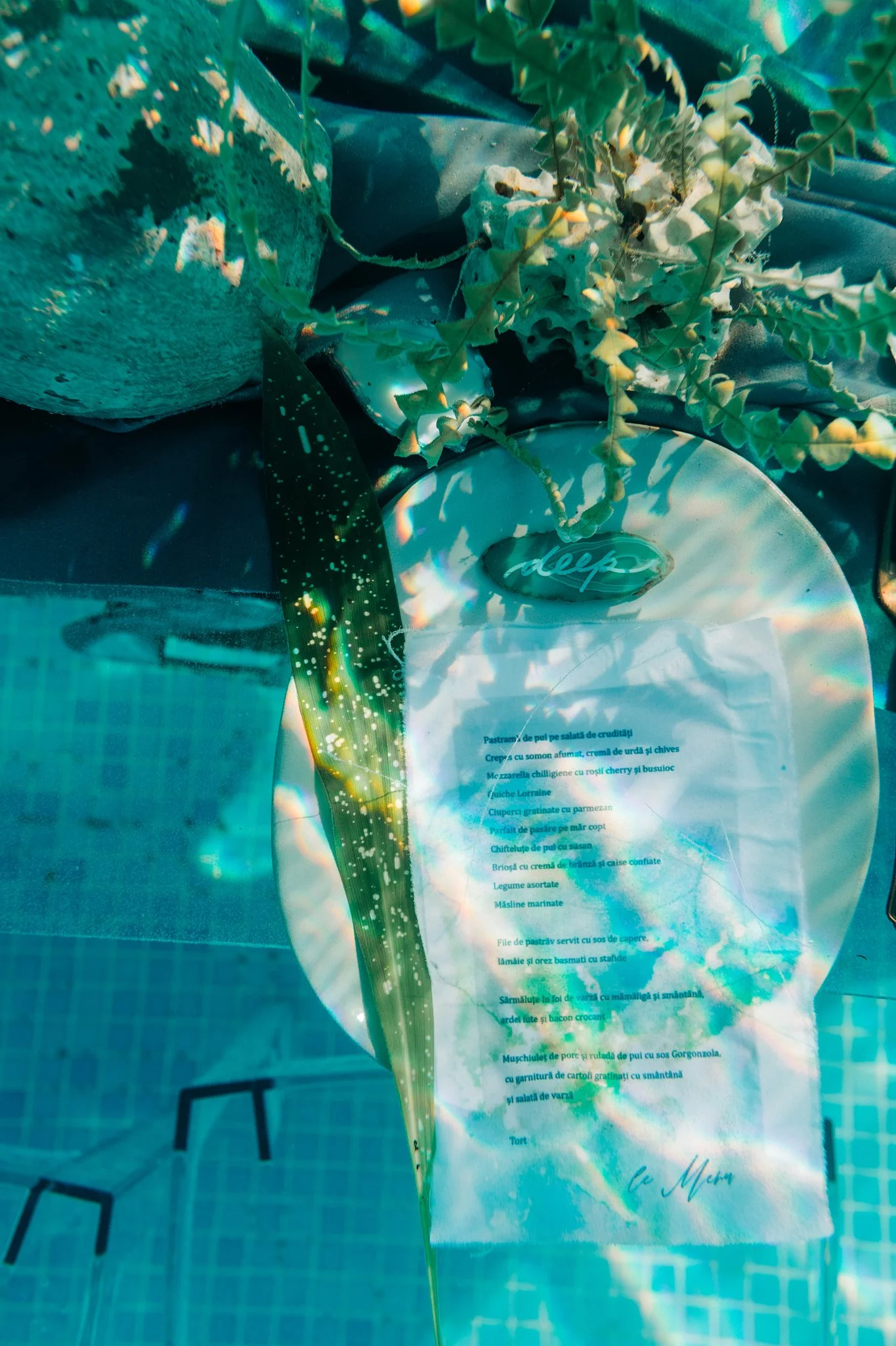 Inspiration Photosession | Underwater Wedding