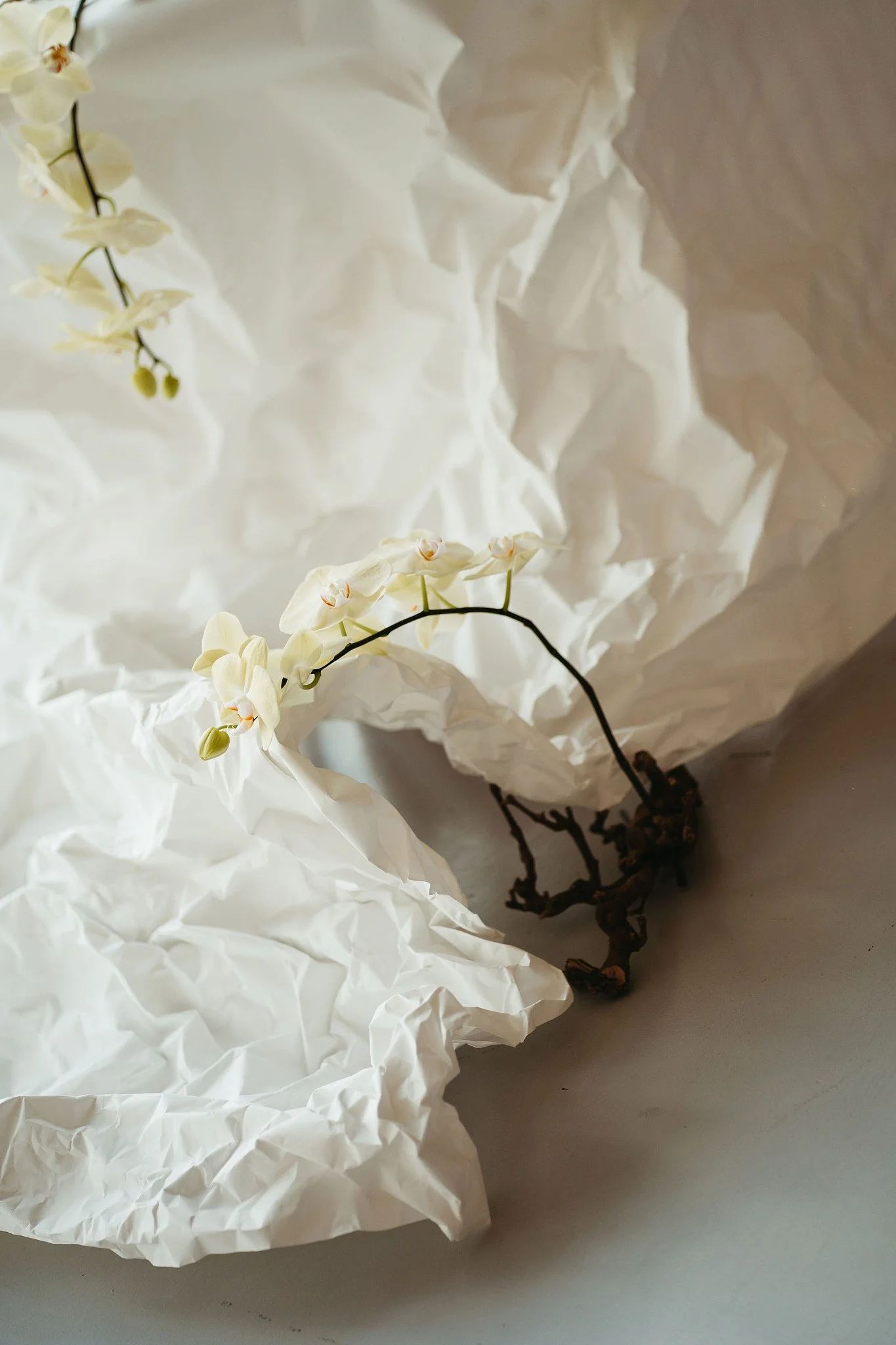 WD_Architectural Wedding_6.jpg