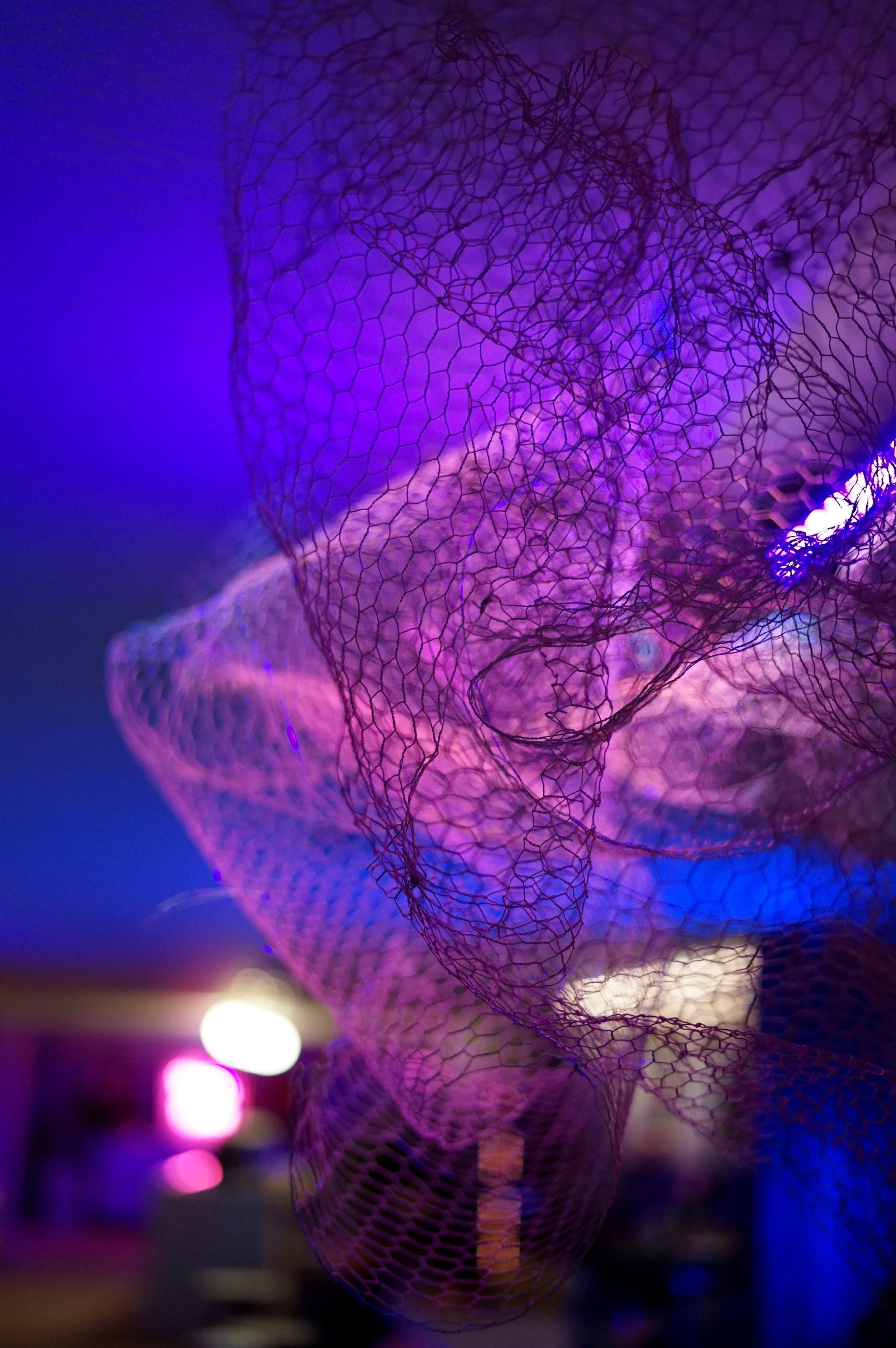 Wedding Mesh sculpture.JPG