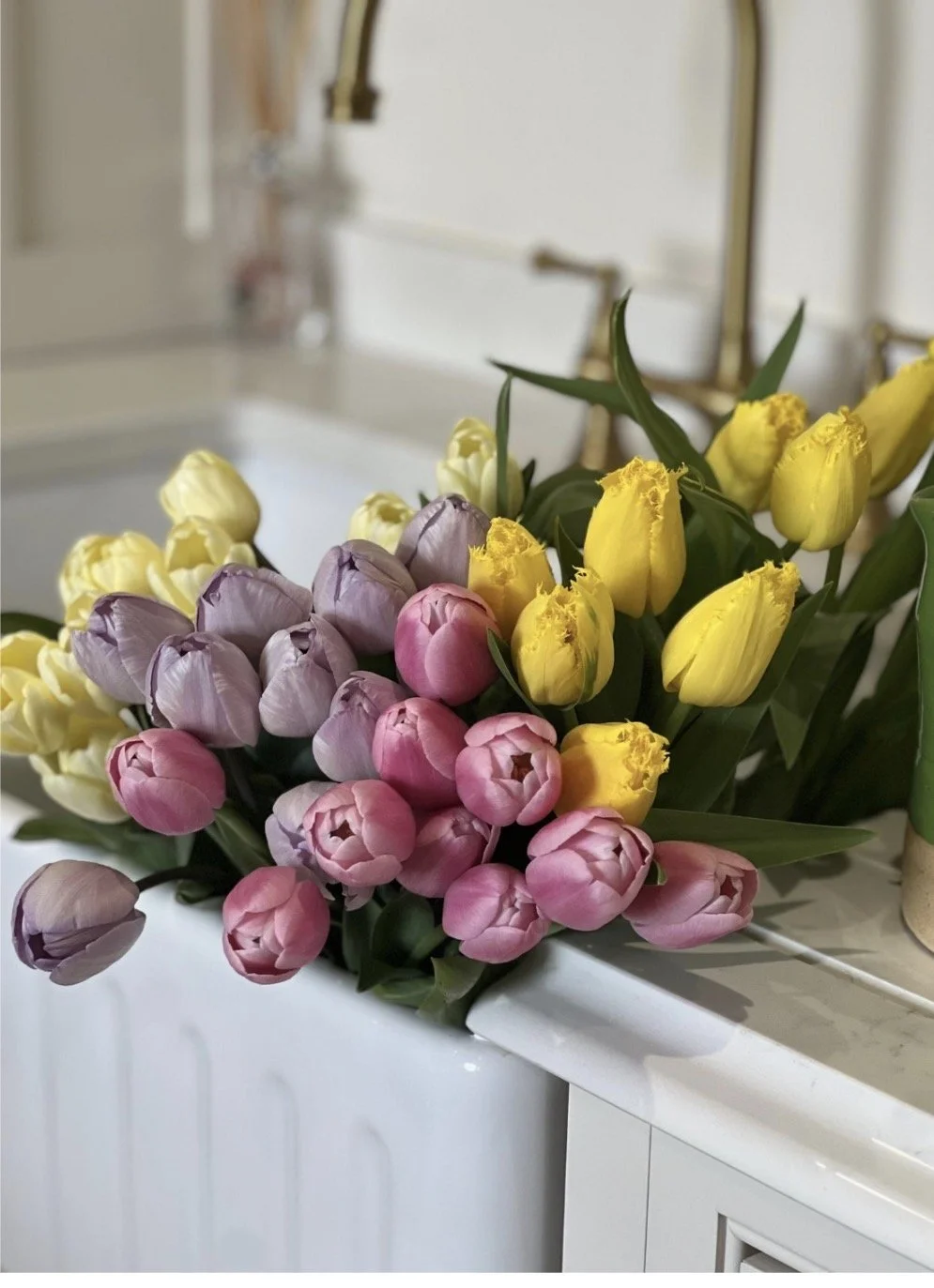 A dozen British ‘mini egg’ tulips. - Easter preorder