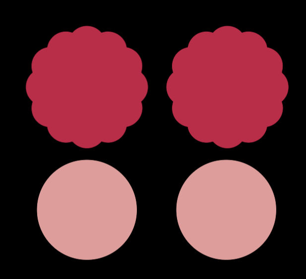 [PRE-ORDER, ships May 7th] 2.75" Scallops Wooden Die Cut