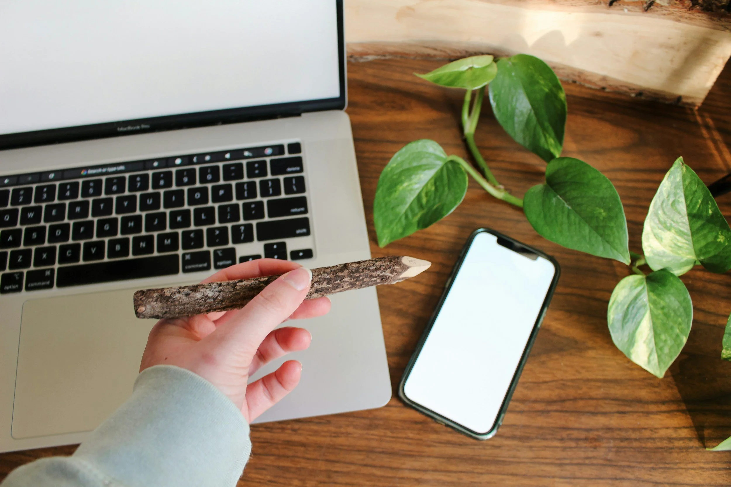 Sustainability from a People &amp; Culture Perspective: Sustainable working practices for the modern workplace.