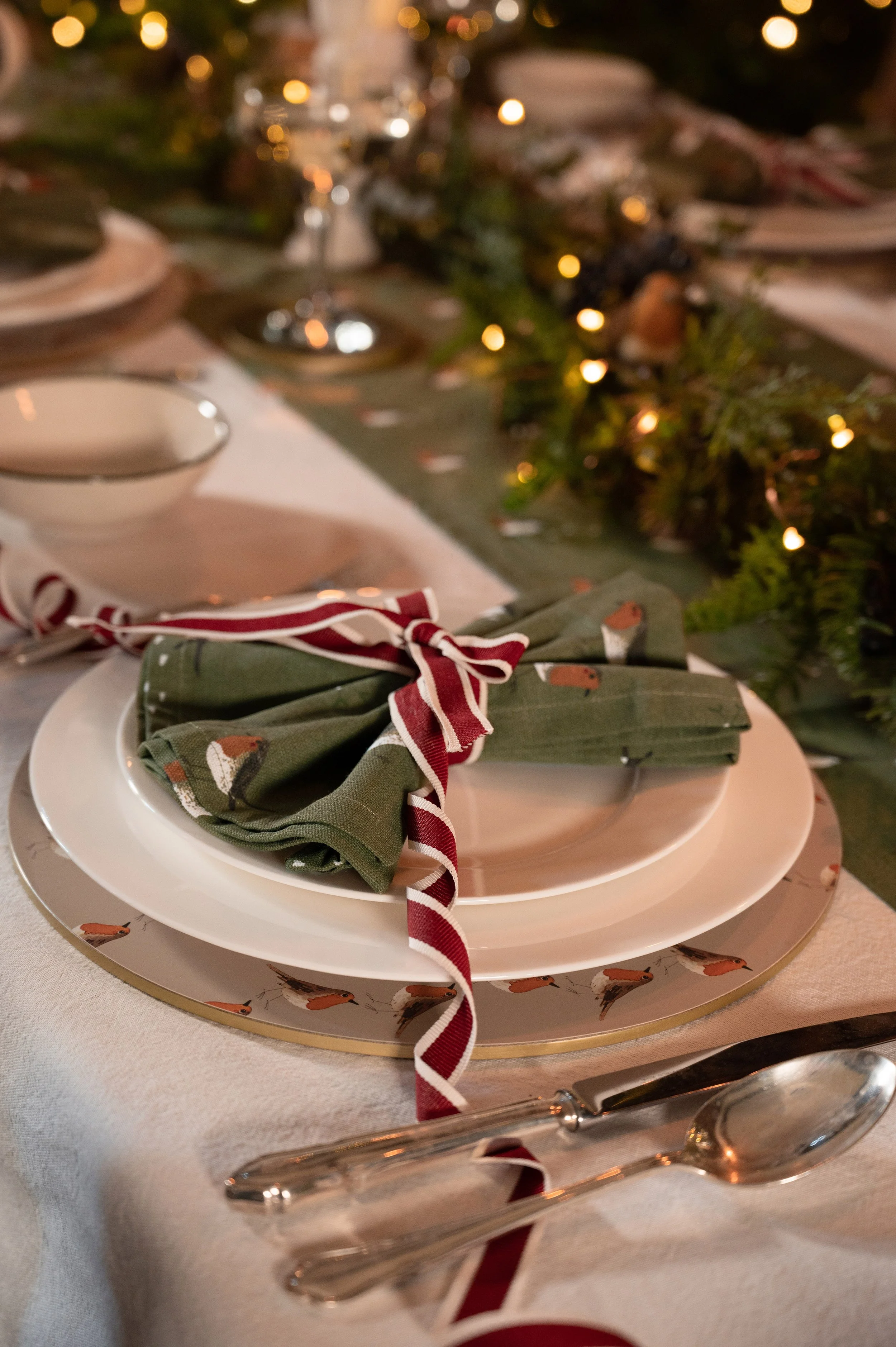 all101300-pmc10101-all101810-robin-napkin-placemat-table-runner-dinner-table-portrait-lifestyle-high-res.jpg