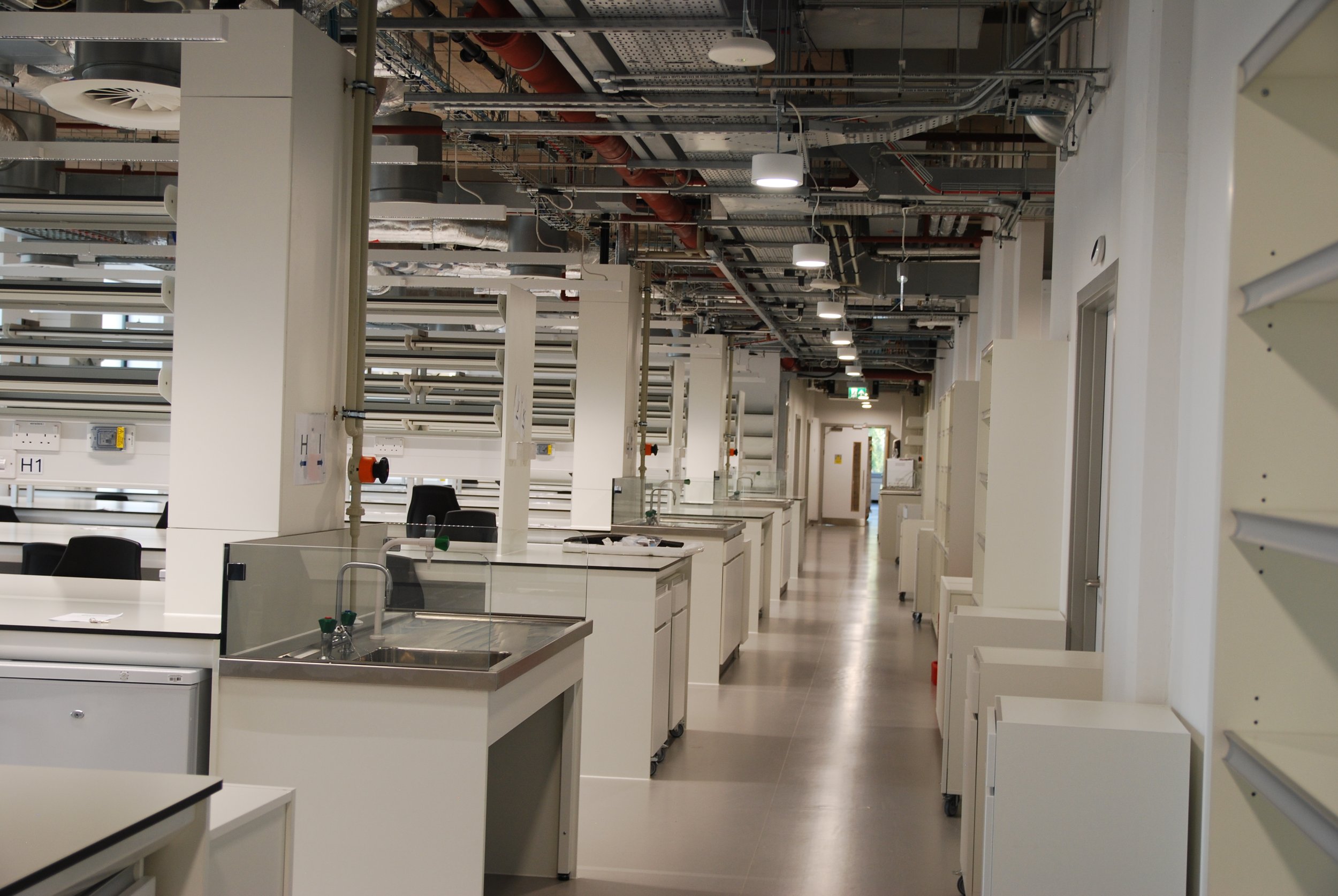 Empty laboratory with multiple workstations, sinks, and shelving. Industrial ceiling with pipes and lighting fixtures.
