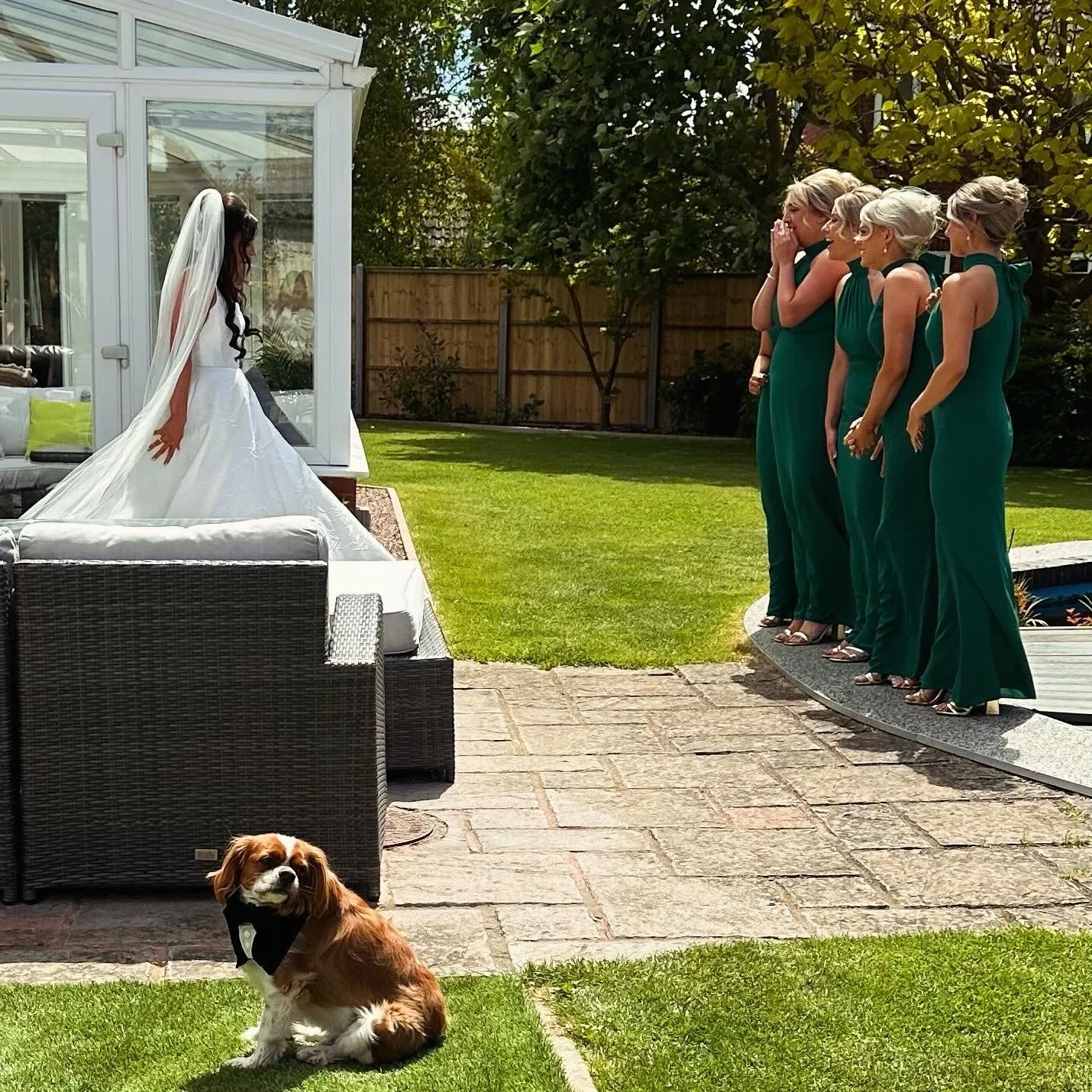 Bridal bride in wedding dress and veil looking at four bridesmaids in matching green dresses who are crying and covering their faces during an outdoor wedding ceremony in a backyard, with a brown and white dog sitting on the grass wearing a bow tie.