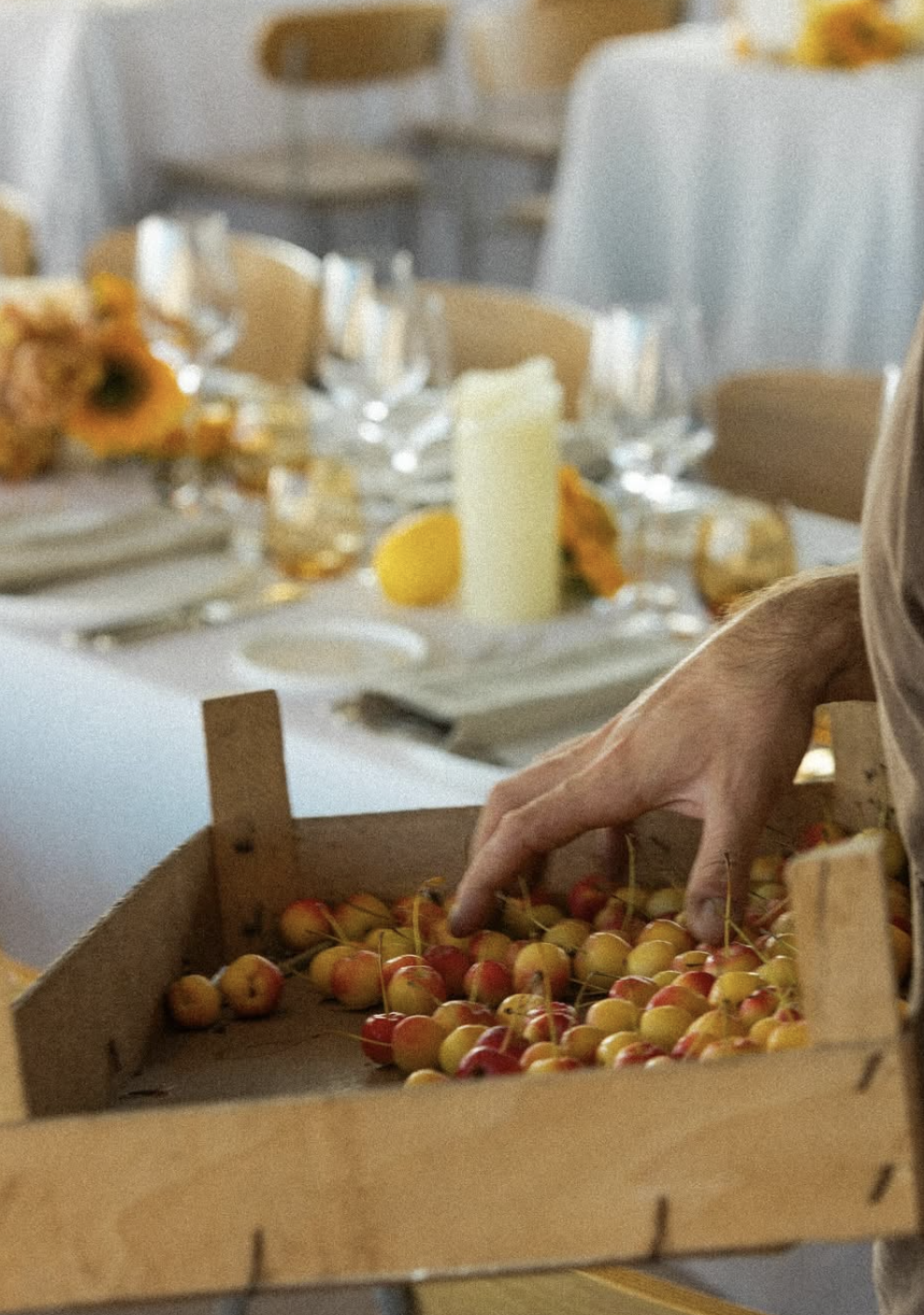 Une main touche une boîte contenant des cerises jaunes et rouges, avec une table de dîner élégante en arrière-plan, décorée de fleurs, de bougies et de verres à vin.
