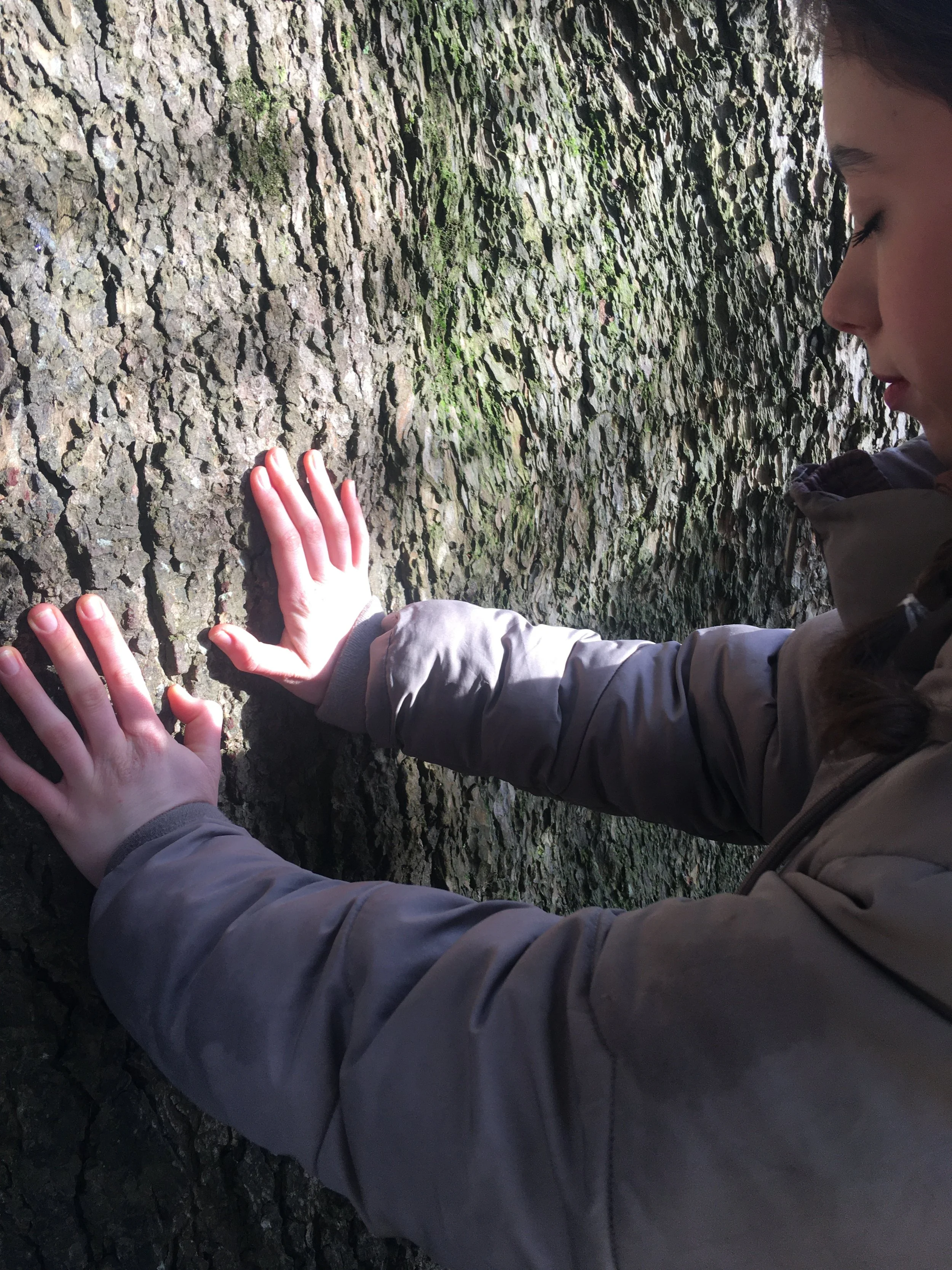 Forest Therapy & Creativity