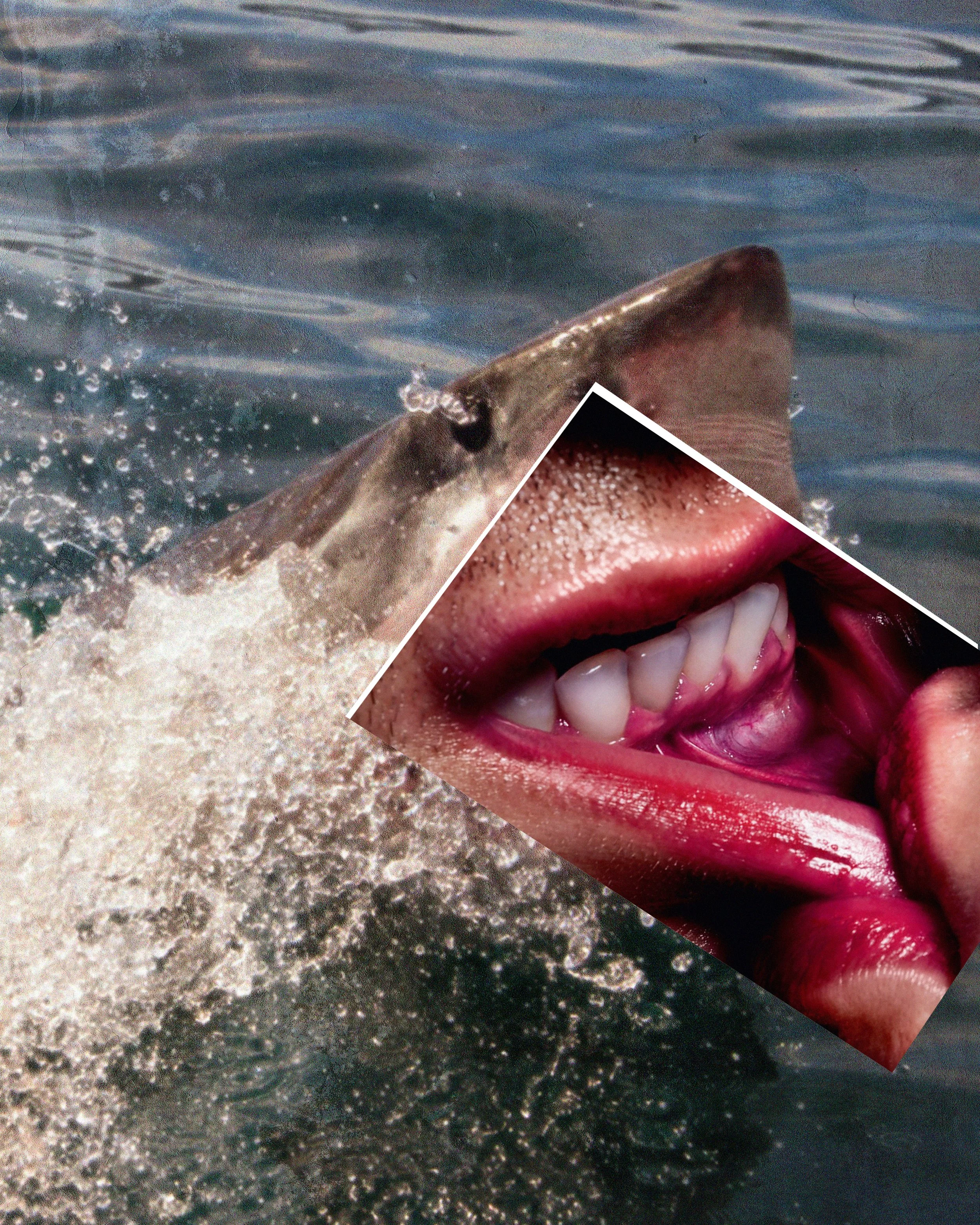 The Bait (Kiss by Sølve Sundsbø).jpg