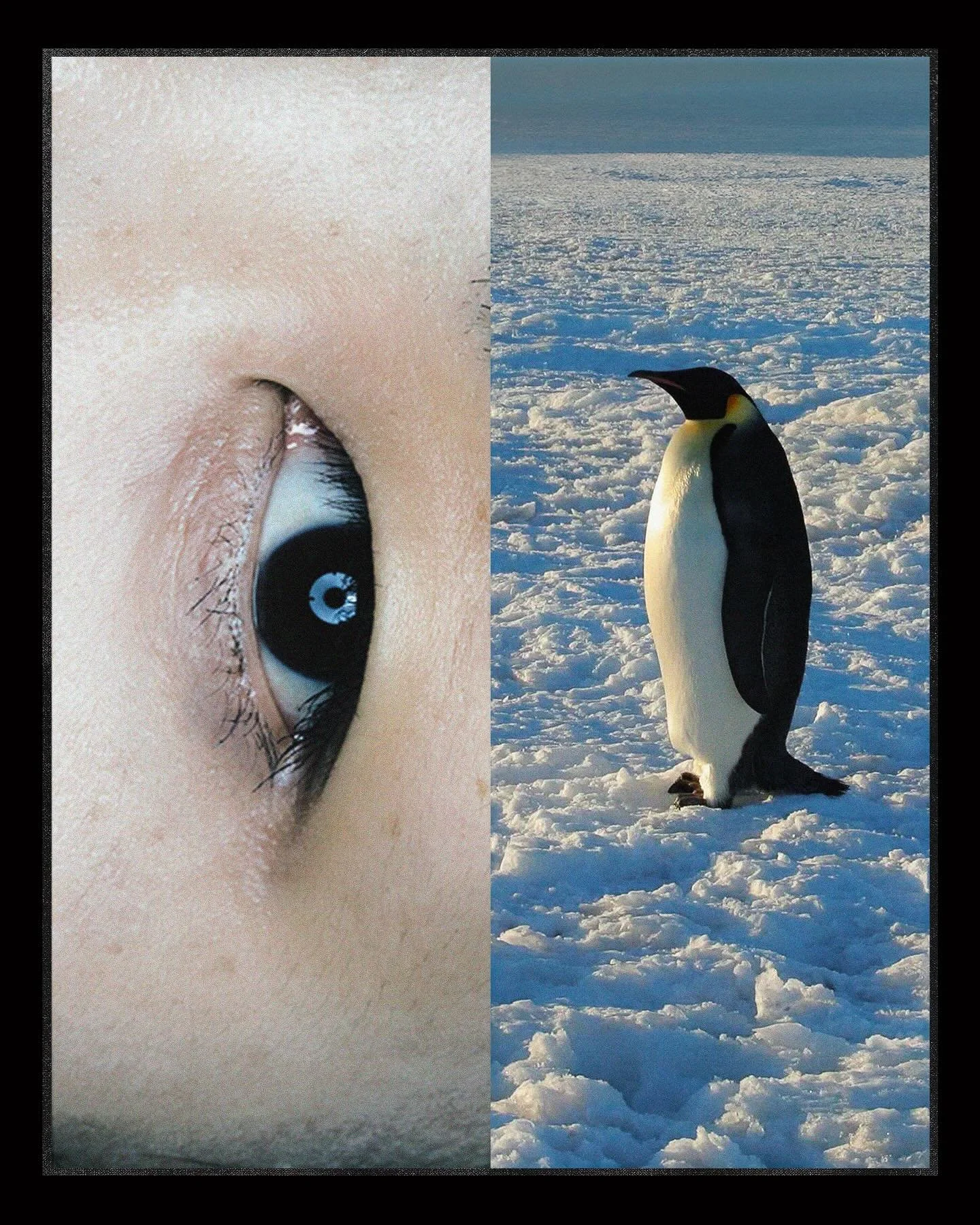 MOTH𝐄𝐀𝐑𝐓𝐇 (series) 🪨
&Eacute;tude des formes @emirshiro 
&bull; Mon premier livre est dispo dans ma bio !