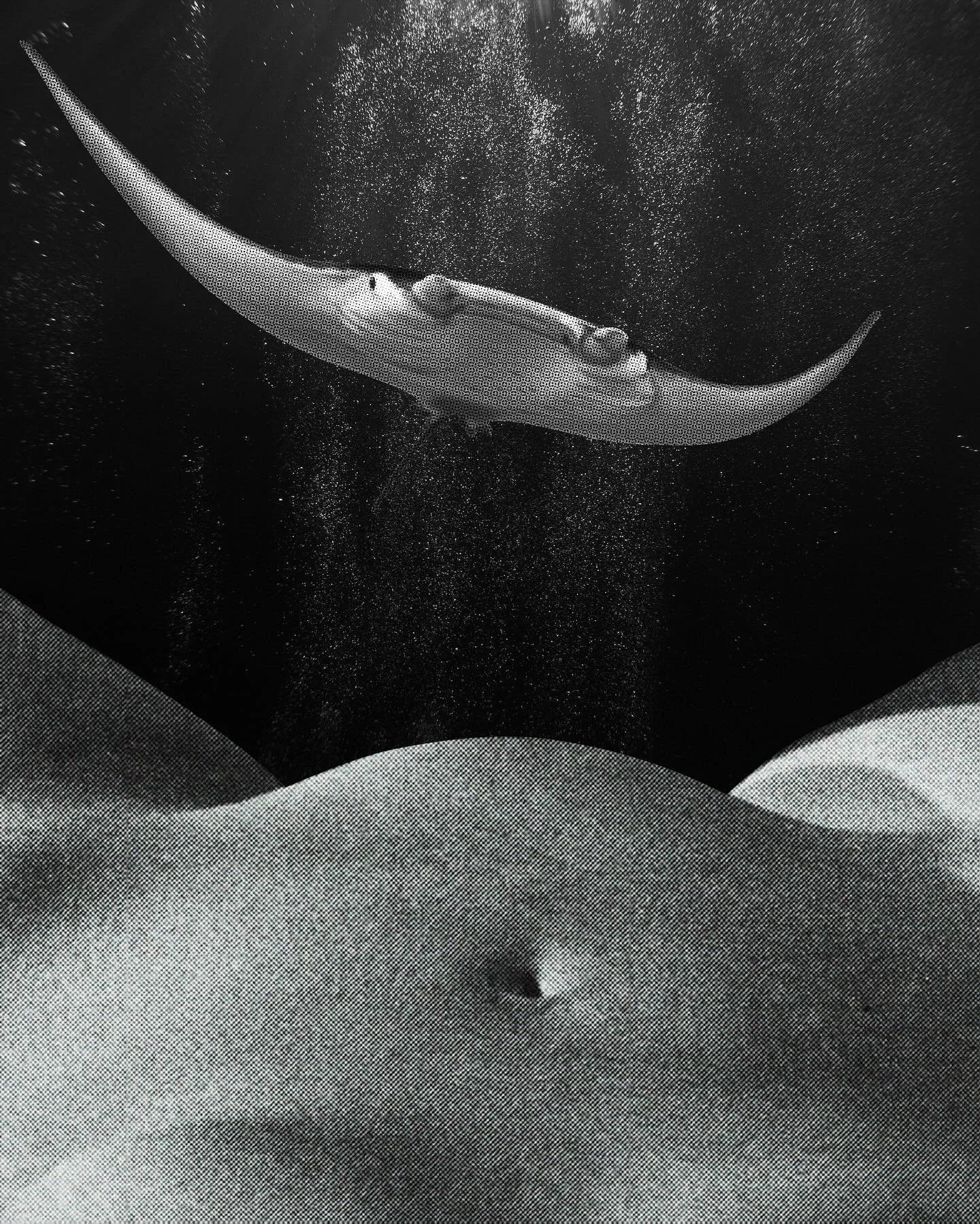 D&eacute;siraie 🥽🪸
Collage made with an old poster.
&bull; Mon 1er Livre d&rsquo;artiste est enfin dispo dans ma bio !
Title @emma.raiatea