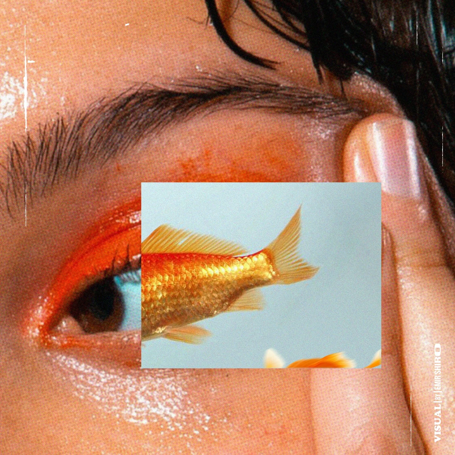 FishEye.jpg