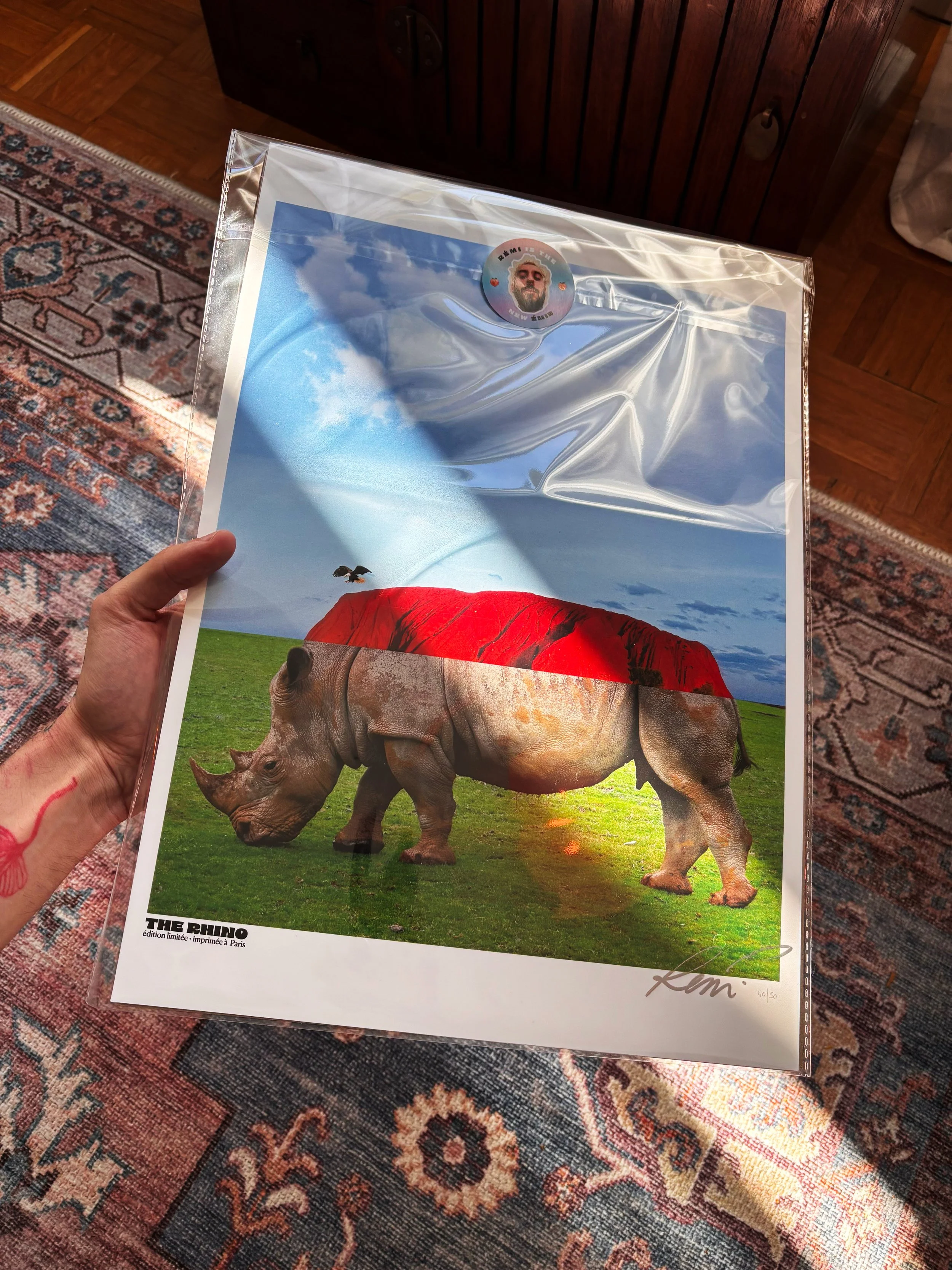POSTER - THE RHINO