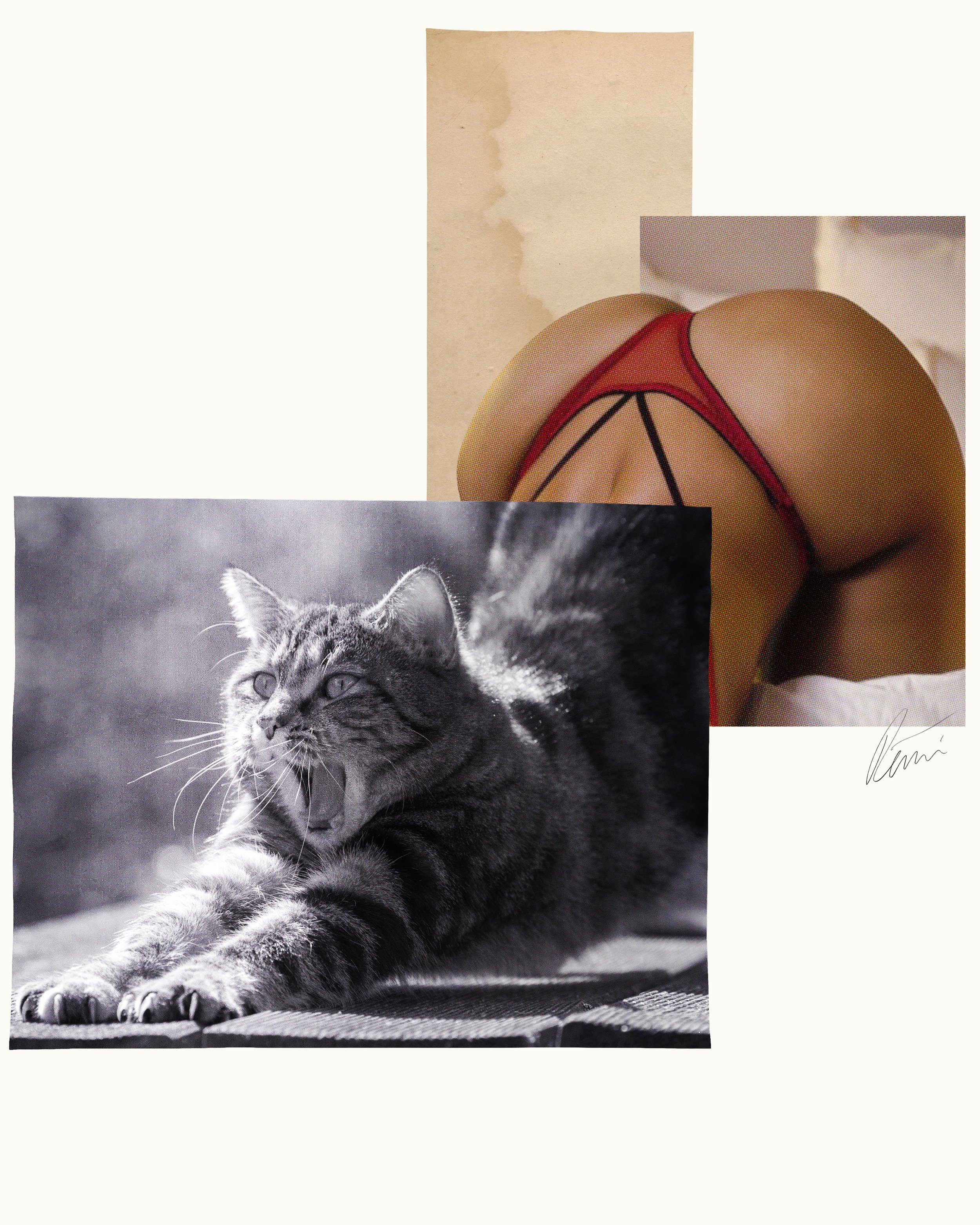 The Pussycat Doll.jpg