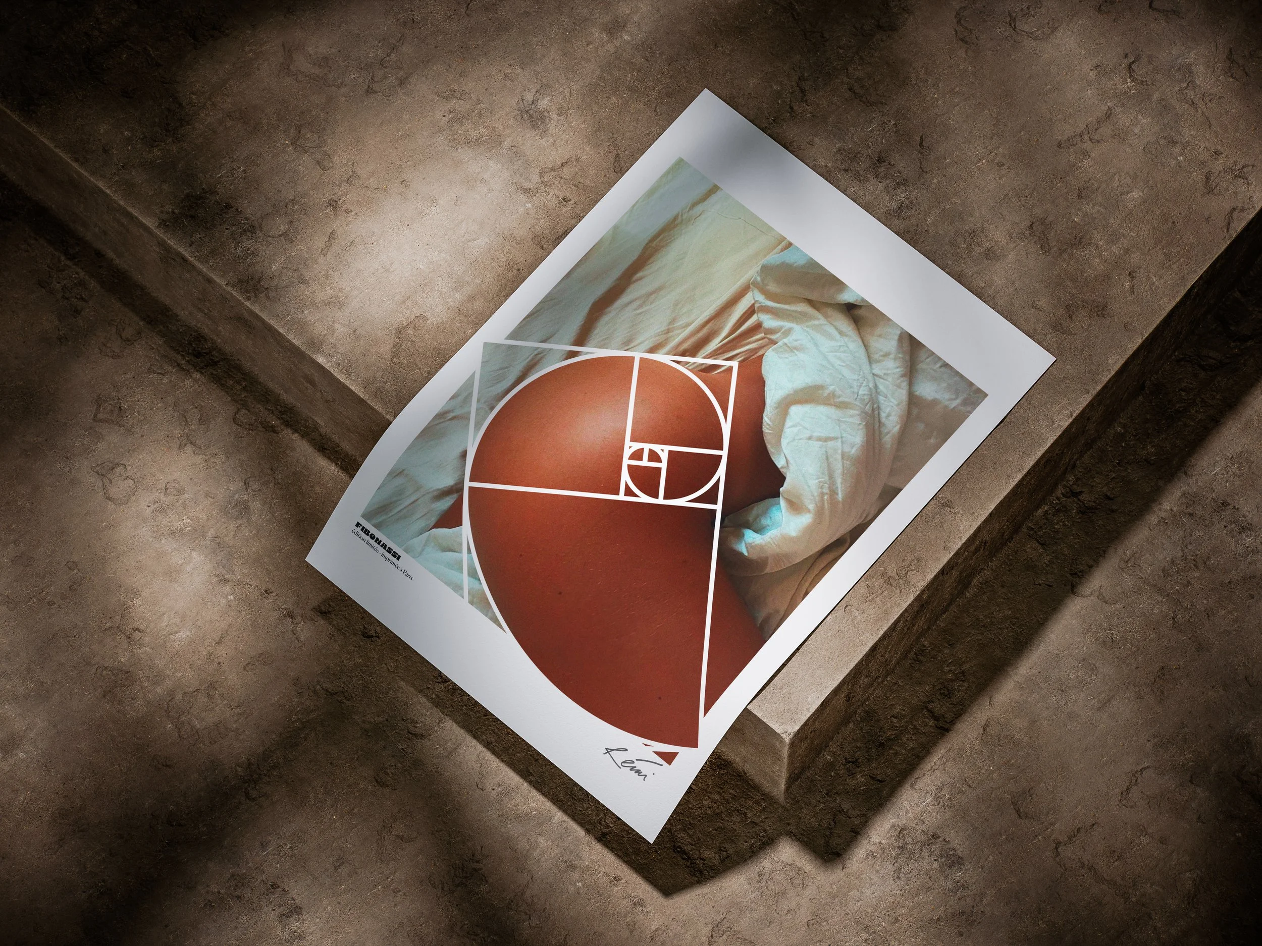 Fibonassi (poster).jpg