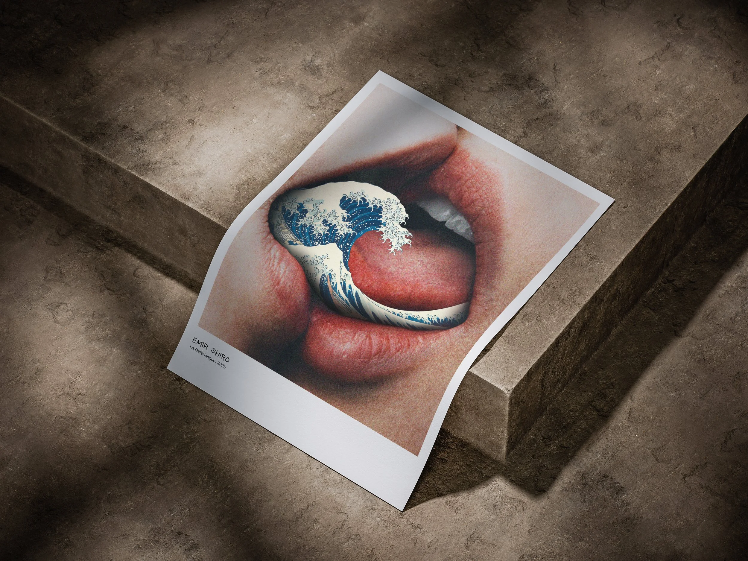 Poster - La Déferlangue